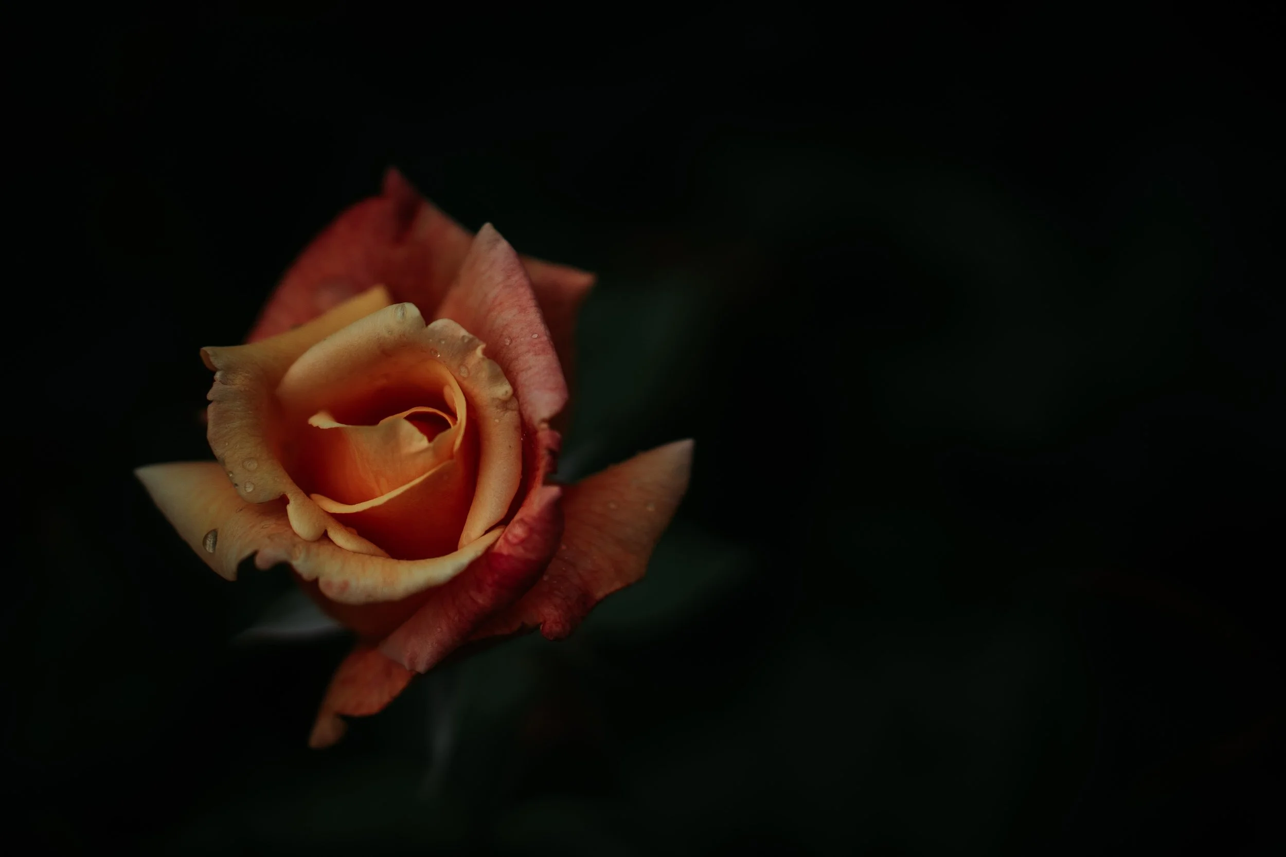 MomDayOutJuliaDavis2019 (12).jpg