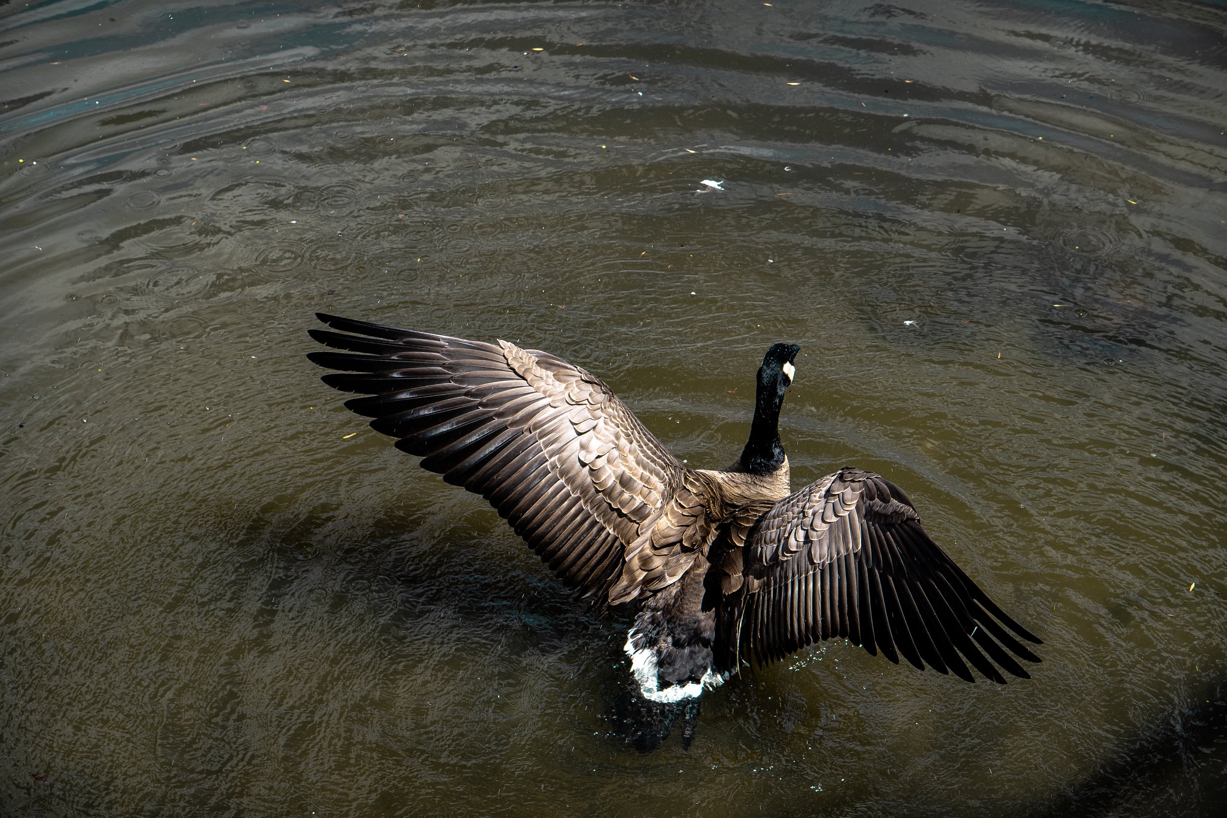 April132019 (10).jpg