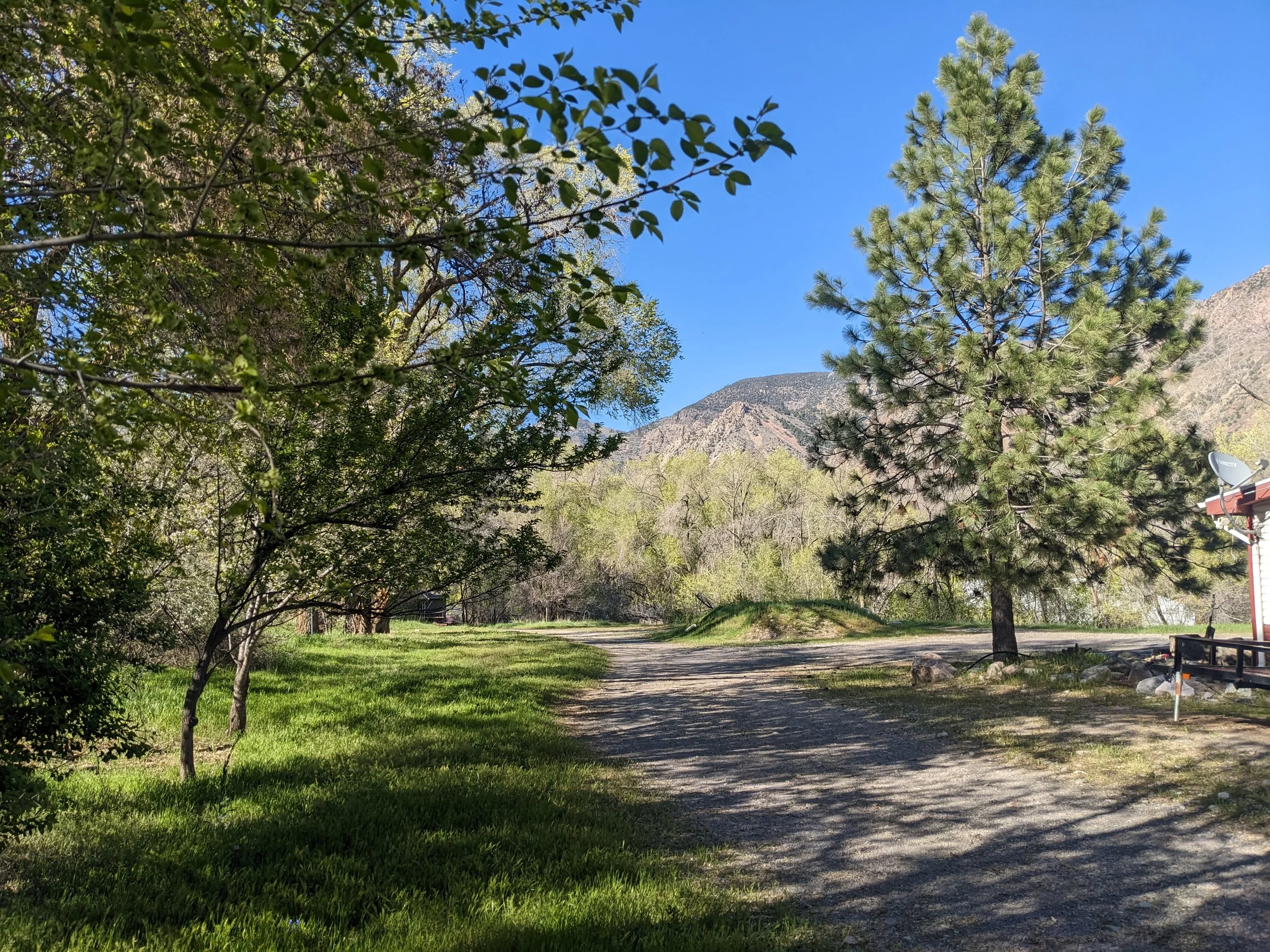A dirt path in a grassy area with trees on both sides, mountain peaks in the background, and a clear blue sky overhead.