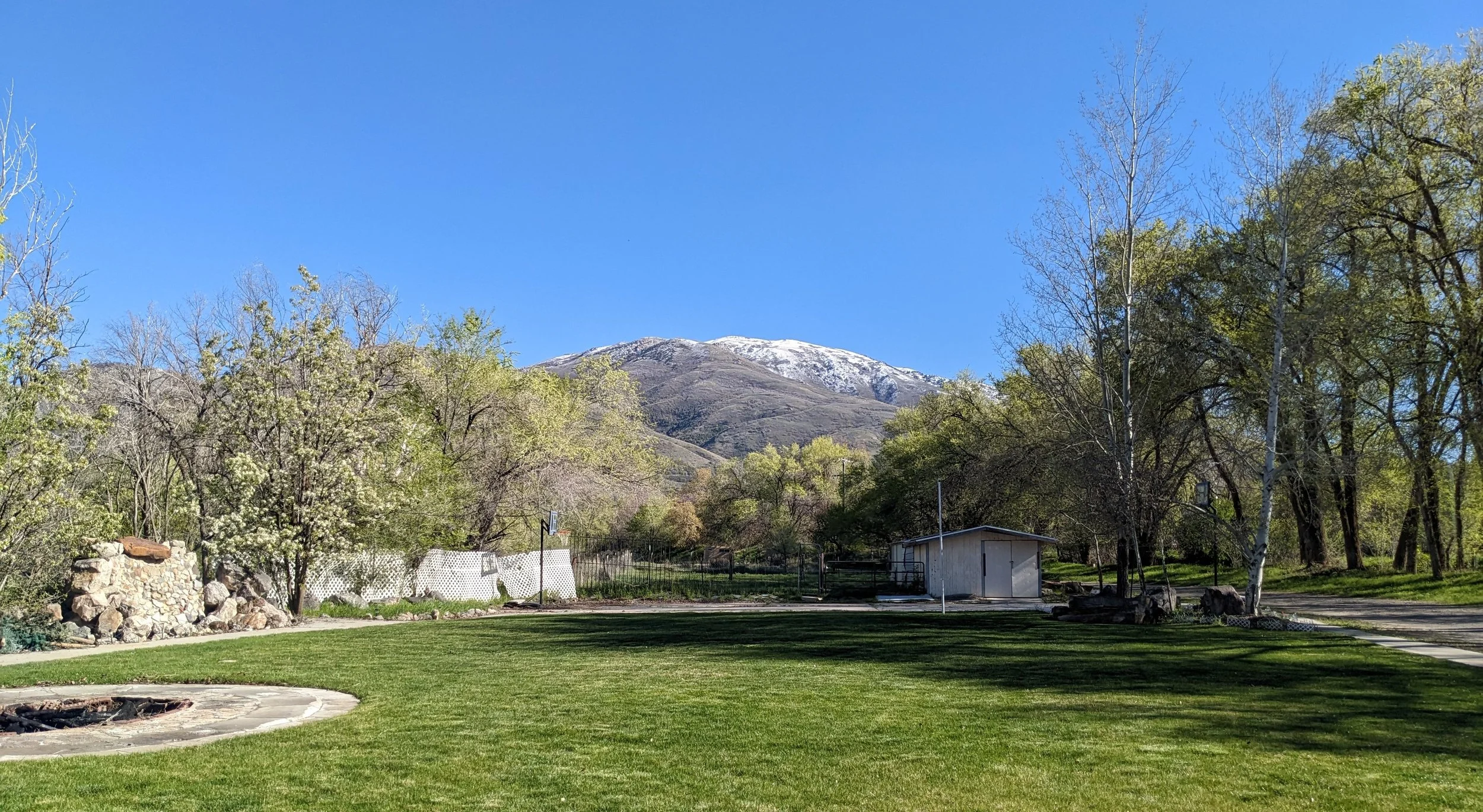 A green lawn with a fire pit, trees, and a small shed, mountain with snow in the background under a clear blue sky.