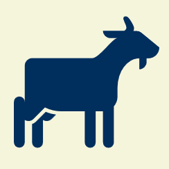 Silhouette of a donkey in dark blue on a light background.