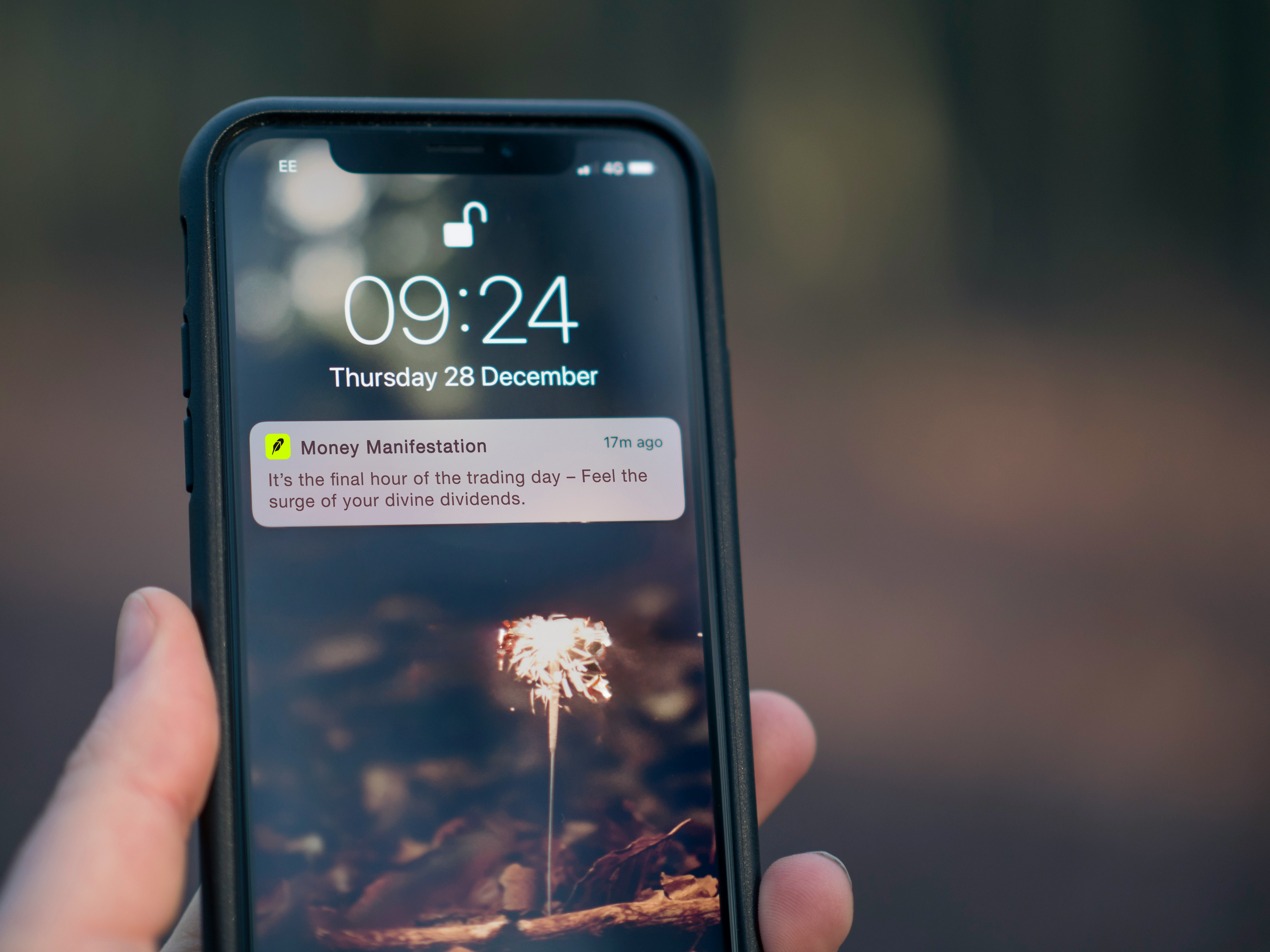 Money Manifestations