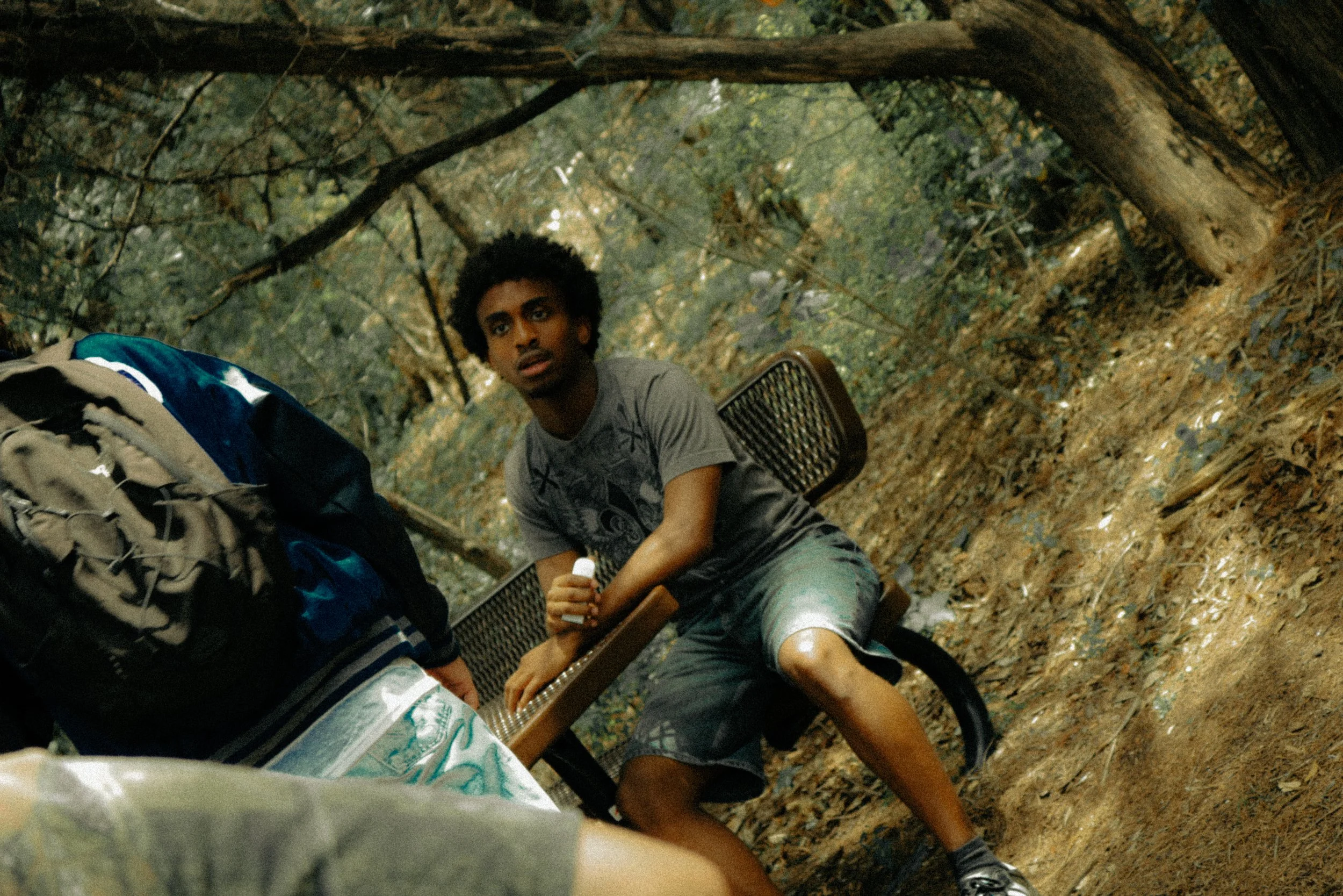 The Burning Of A Peach Tree