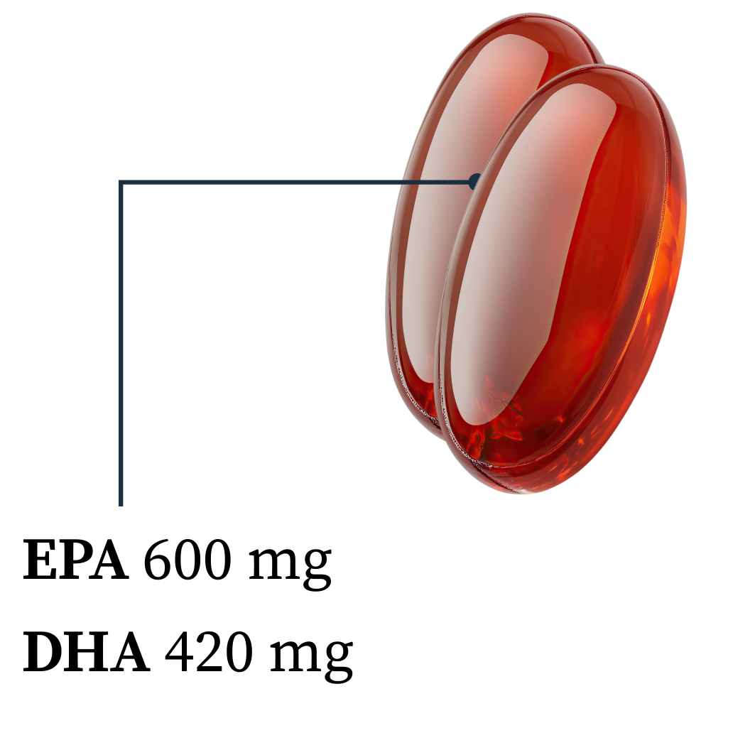 Close-up of red blood cells, showing their biconcave shape, under a microscope.
