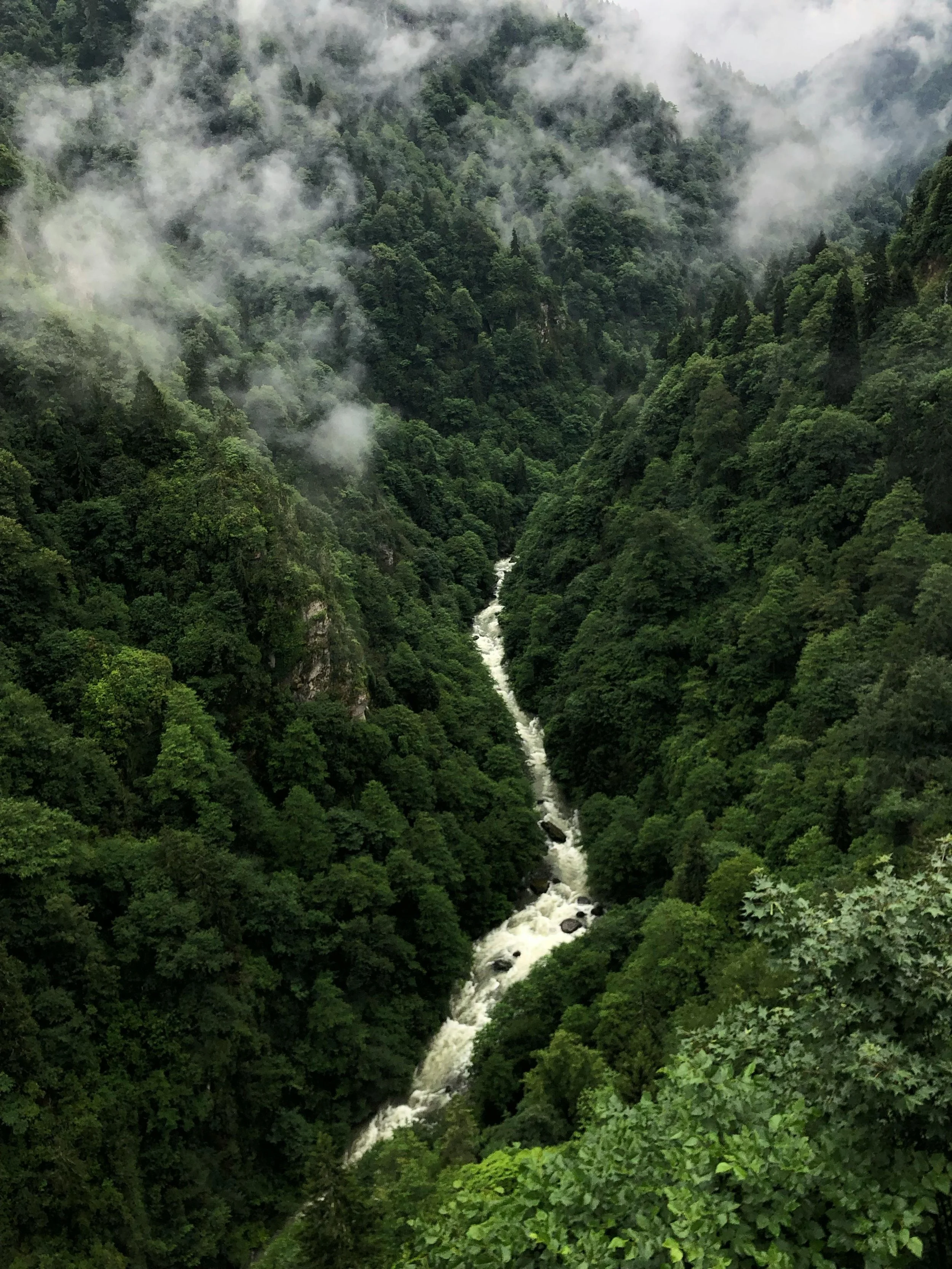 A lush green mountain valley with a narrow river running through it, surrounded by dense forested slopes and misty clouds overhead.