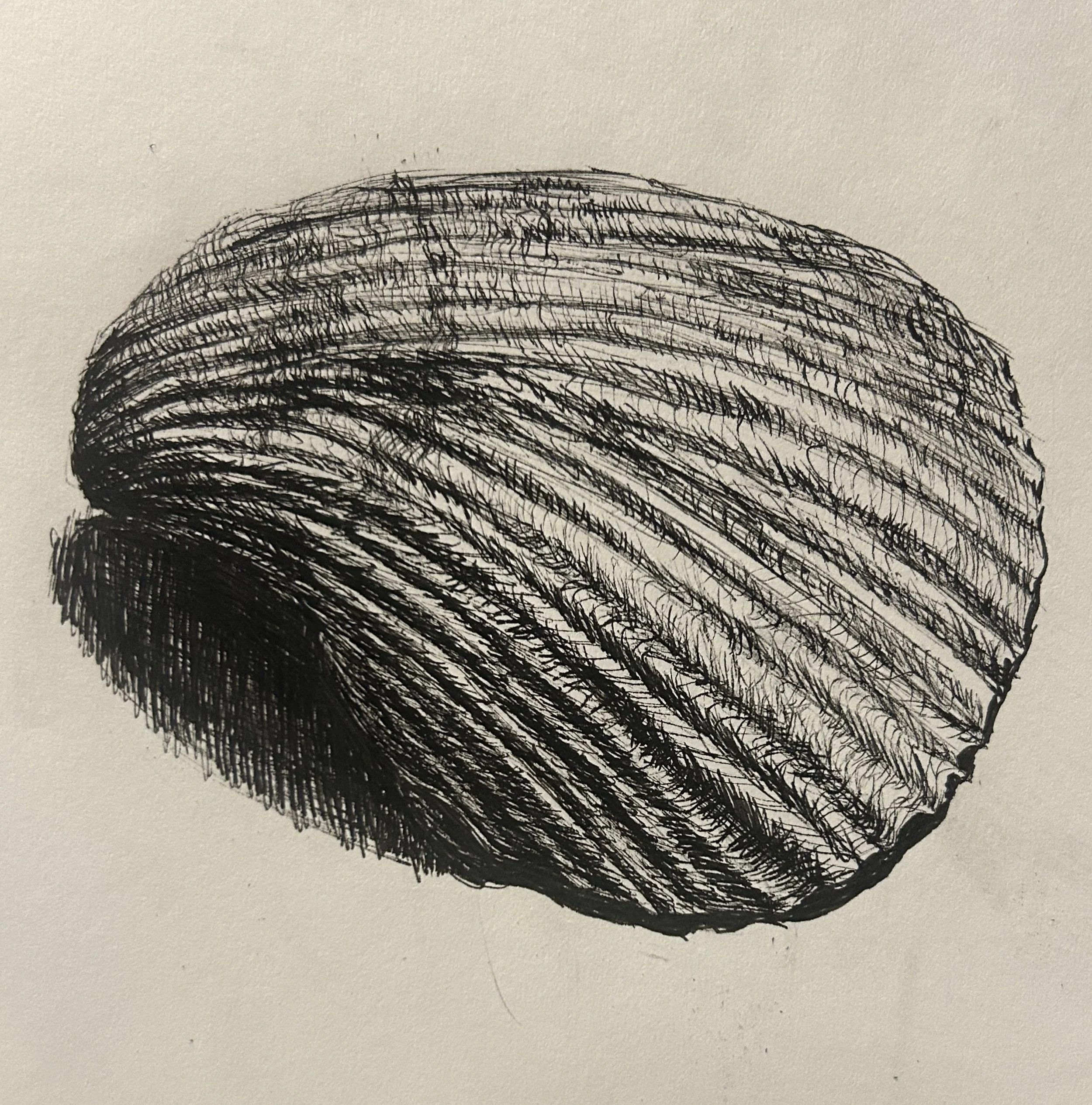 Aerin Kim_Pen Drawing_Project #2.jpg