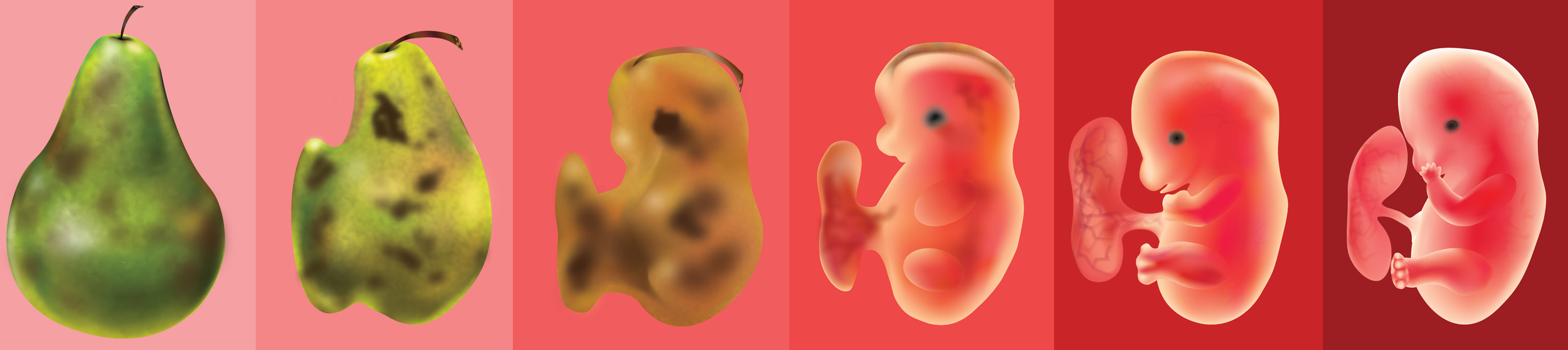 For my final in 2D Design 2, the prompt my class was given was called "The Narrative". We were instructed to take an object and illustrate its transition into something entirely different, thus creating a story. Made in Adobe Illustrator using mesh g