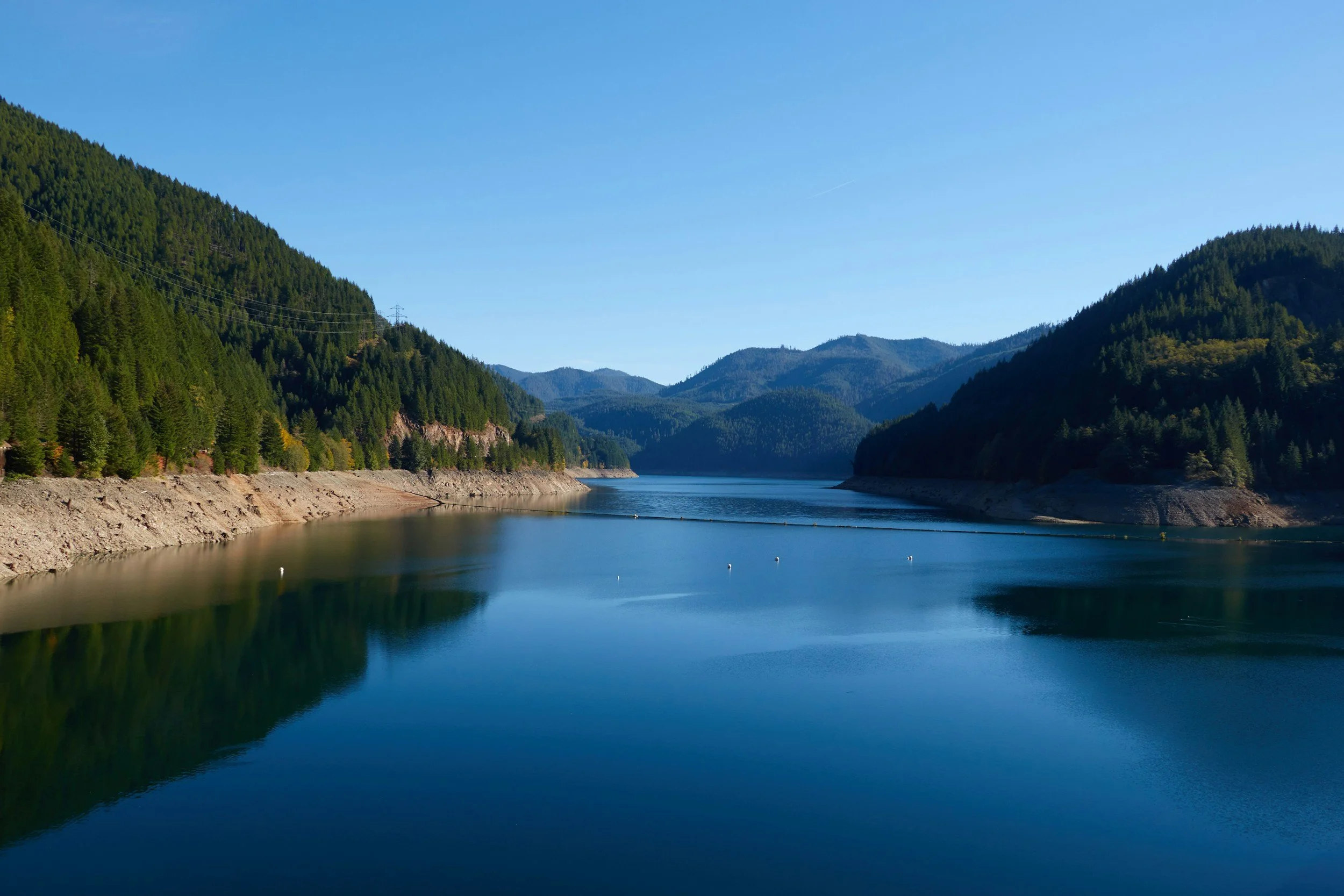 Detroit lake surrounded by green forested mountains under a clear blue sky.