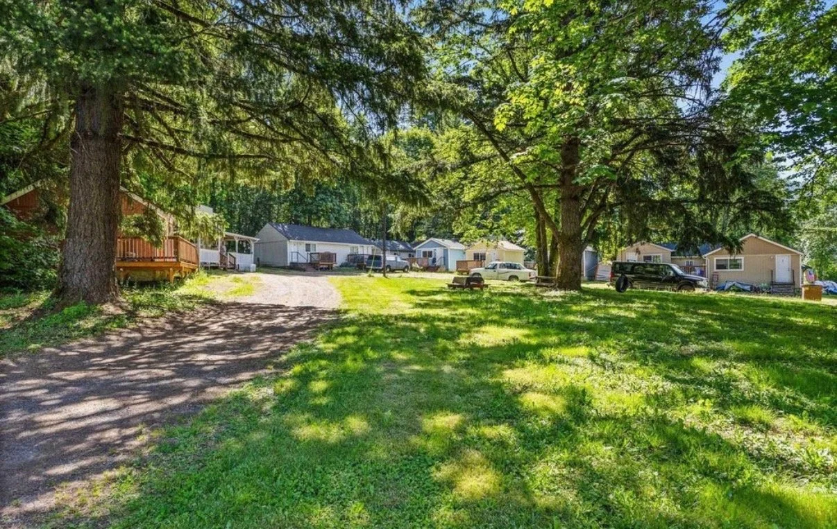 A residential backyard with a large tree, green grass, and shadows from the trees. There are houses and parked cars in the background.