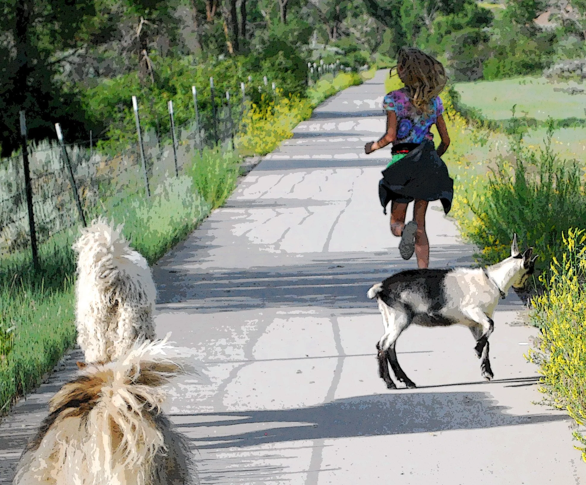 June '09 049_edited-1.jpg