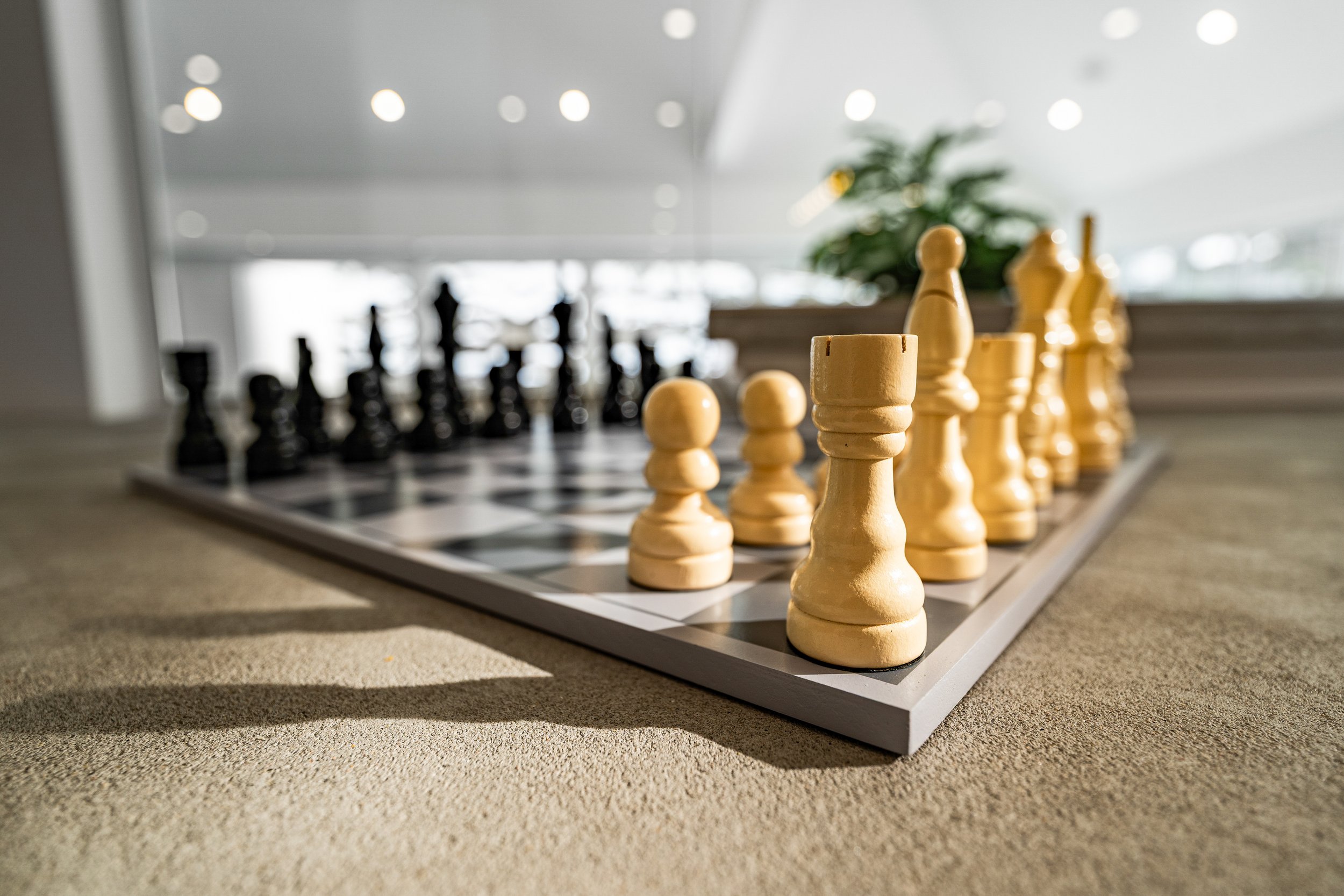 Close-up of a chessboard with wooden chess pieces set up for a game in a bright room with large windows and a plant in the background.