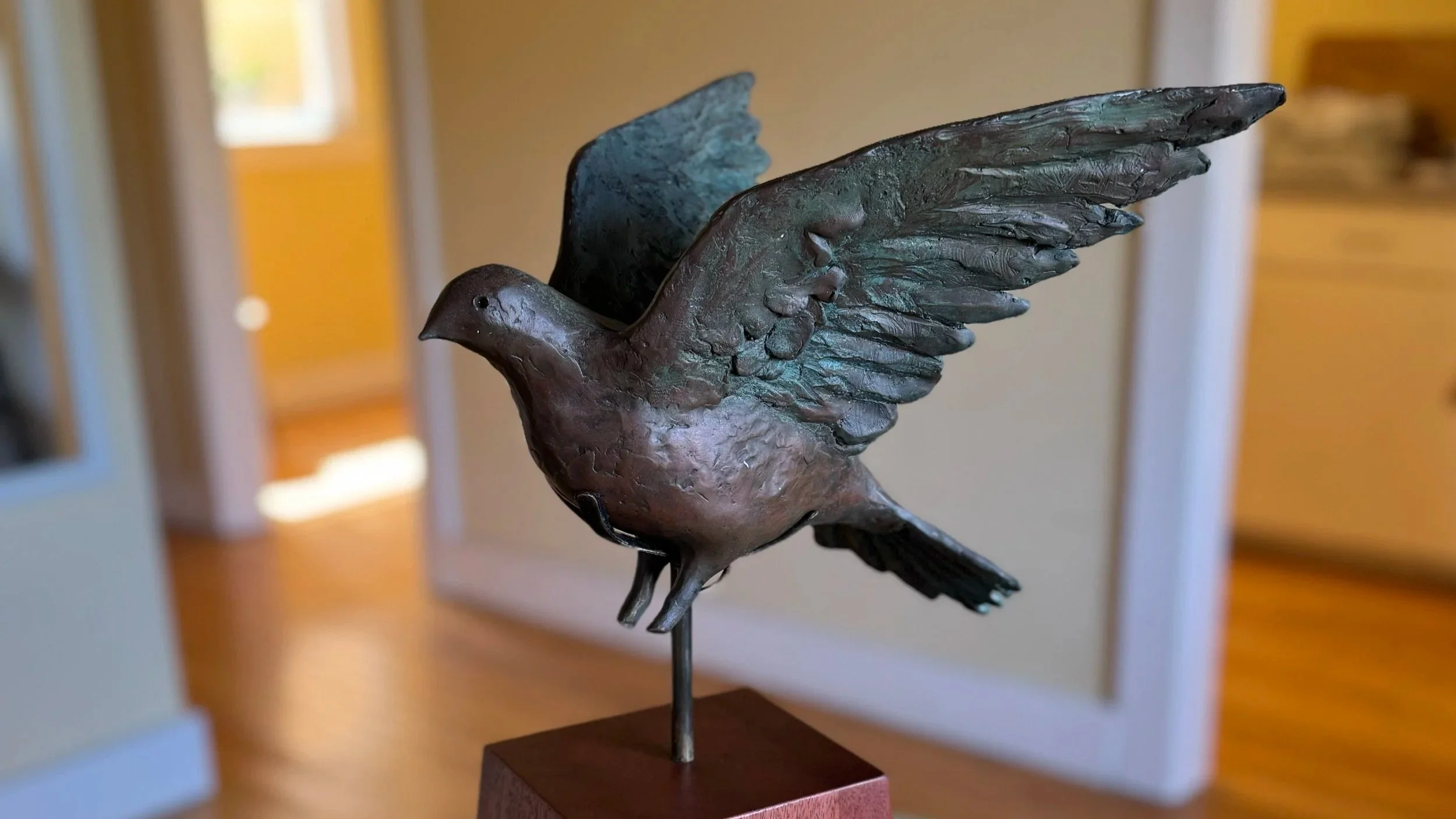 dove+in+apartment.jpg