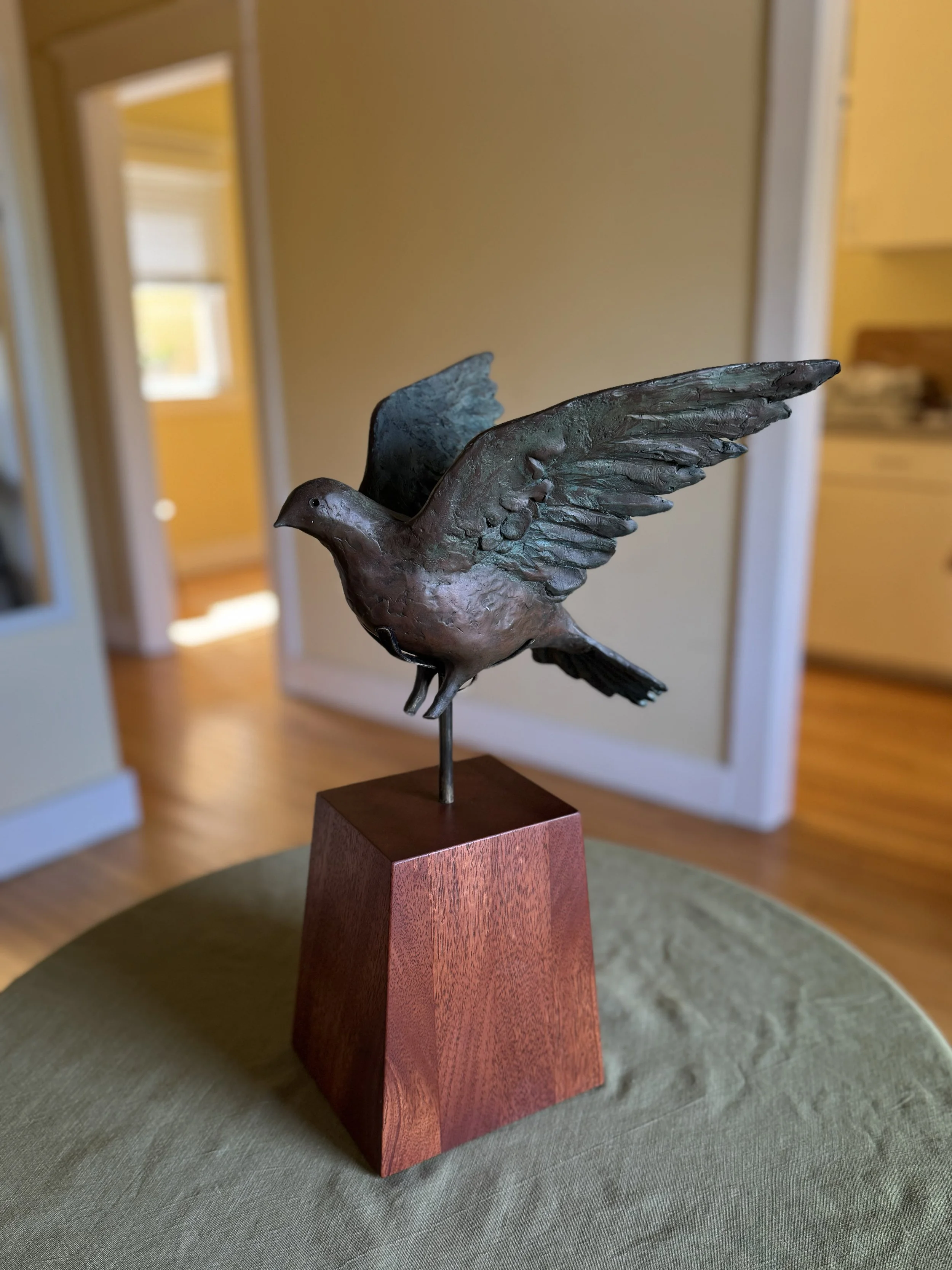 dove in apartment.jpg