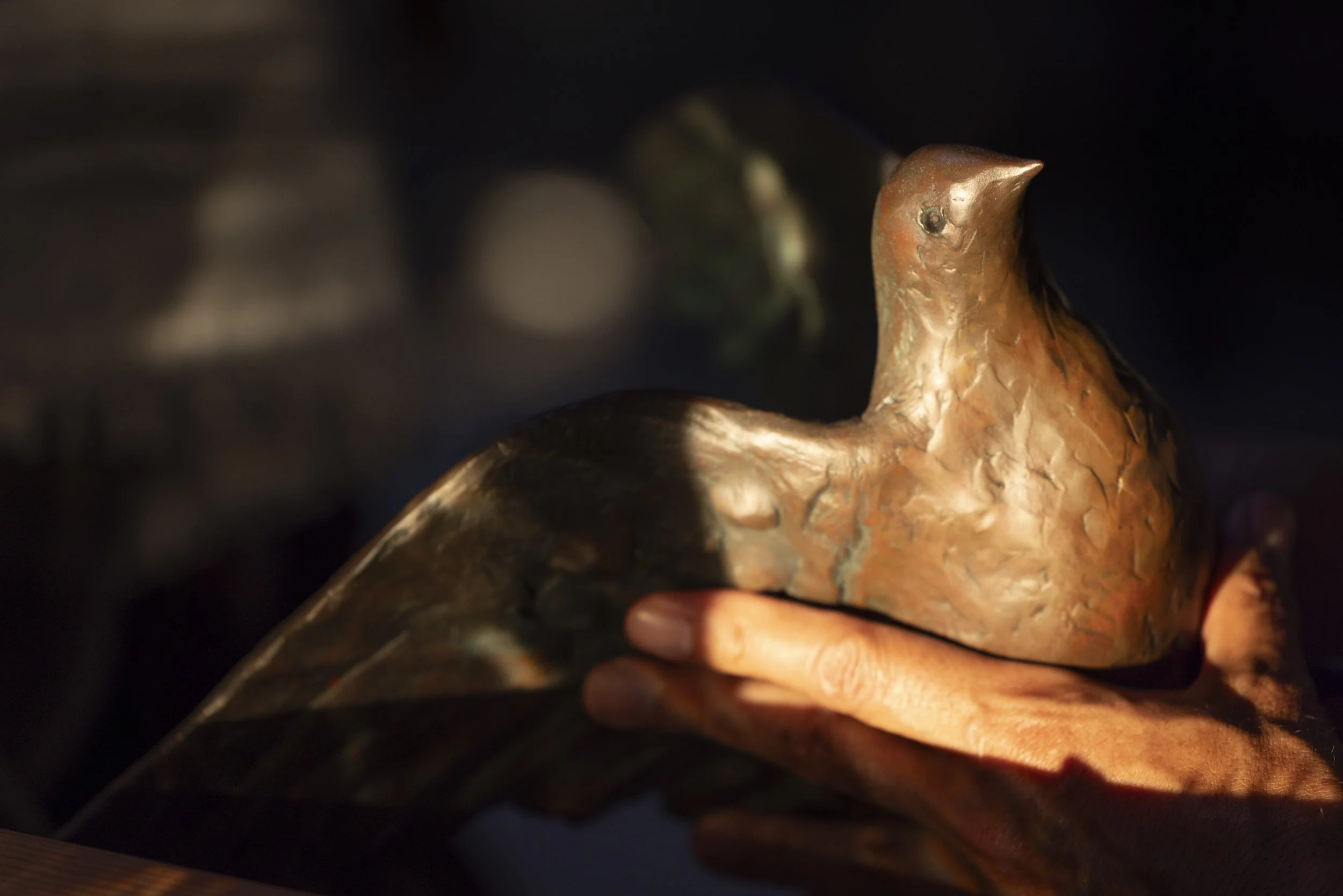 3P8A2327_1.JPG