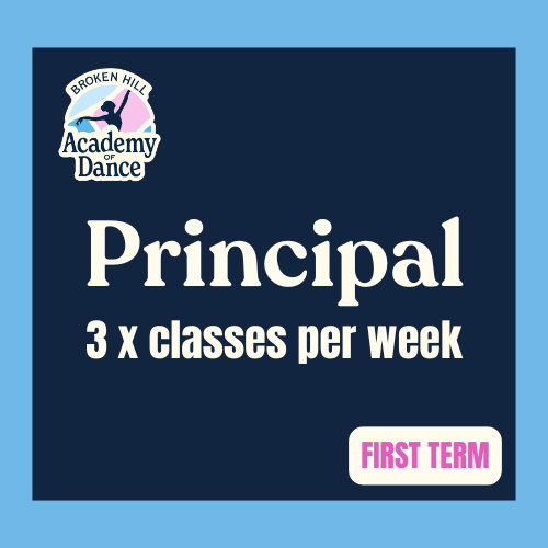 Copy of Icon (5).png (Copy) (Copy) (Copy)