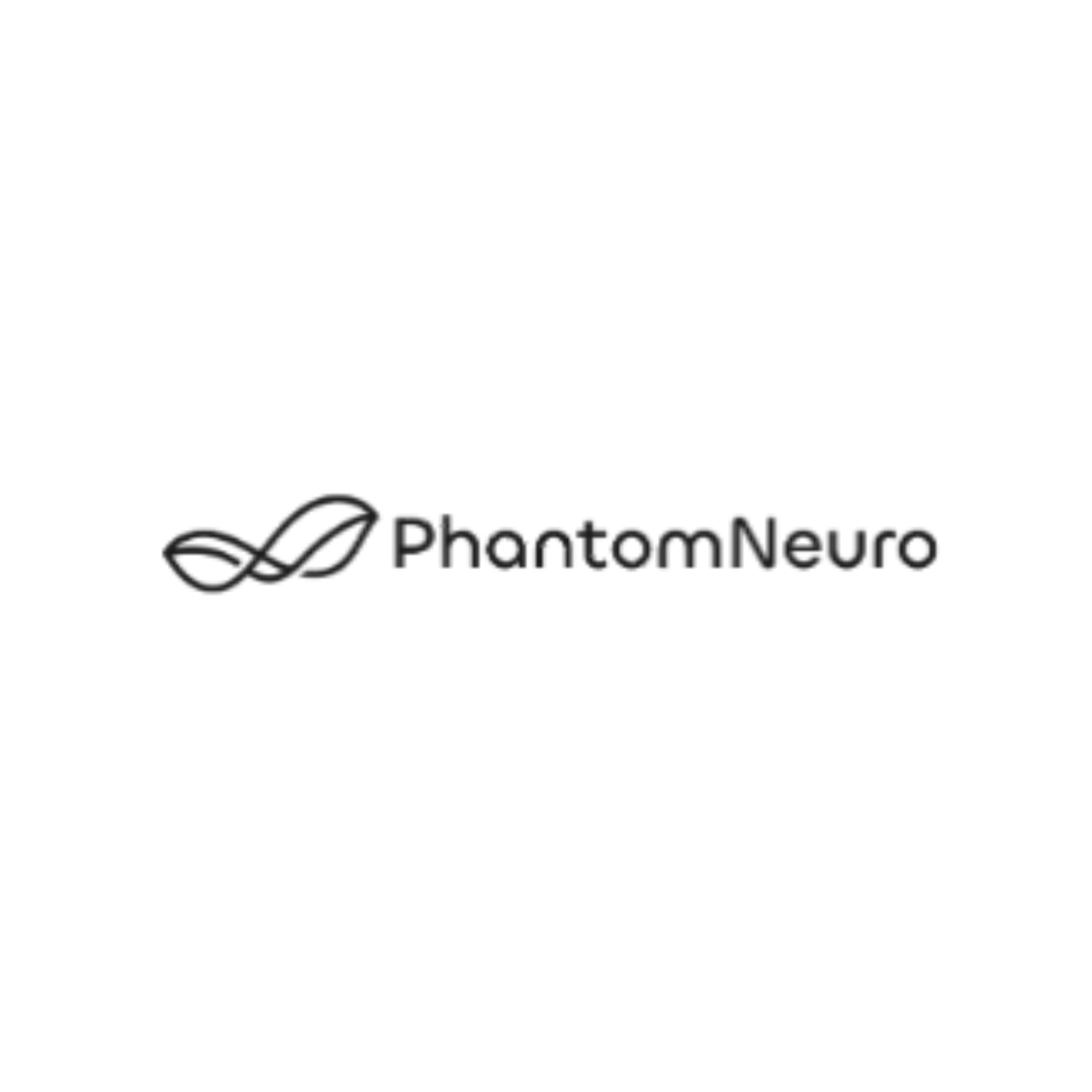 phantomneuro_processed.png