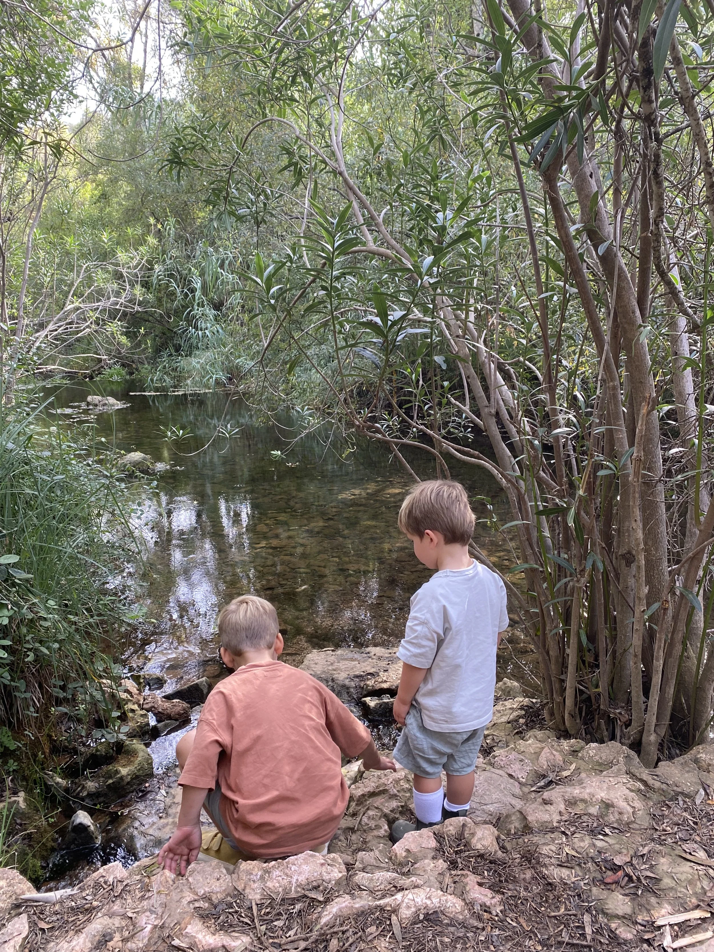 Two young boys are exploring near a small creek in a lush, green forest. One boy is kneeling on rocks and reaching into the water, while the other boy is standing nearby, observing.