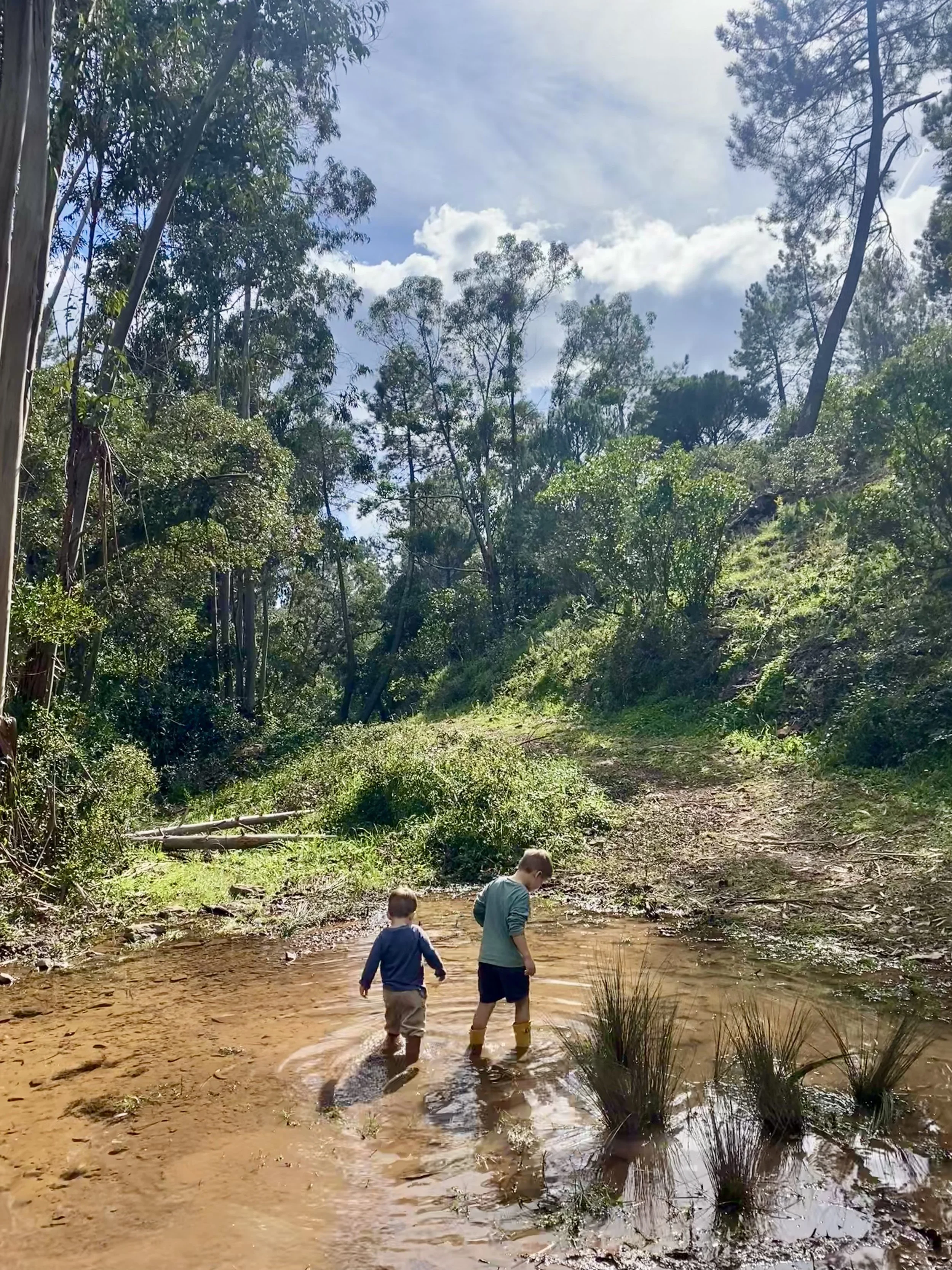 Two young boys playing in a shallow muddy creek in a wooded outdoor area on a sunny day.
