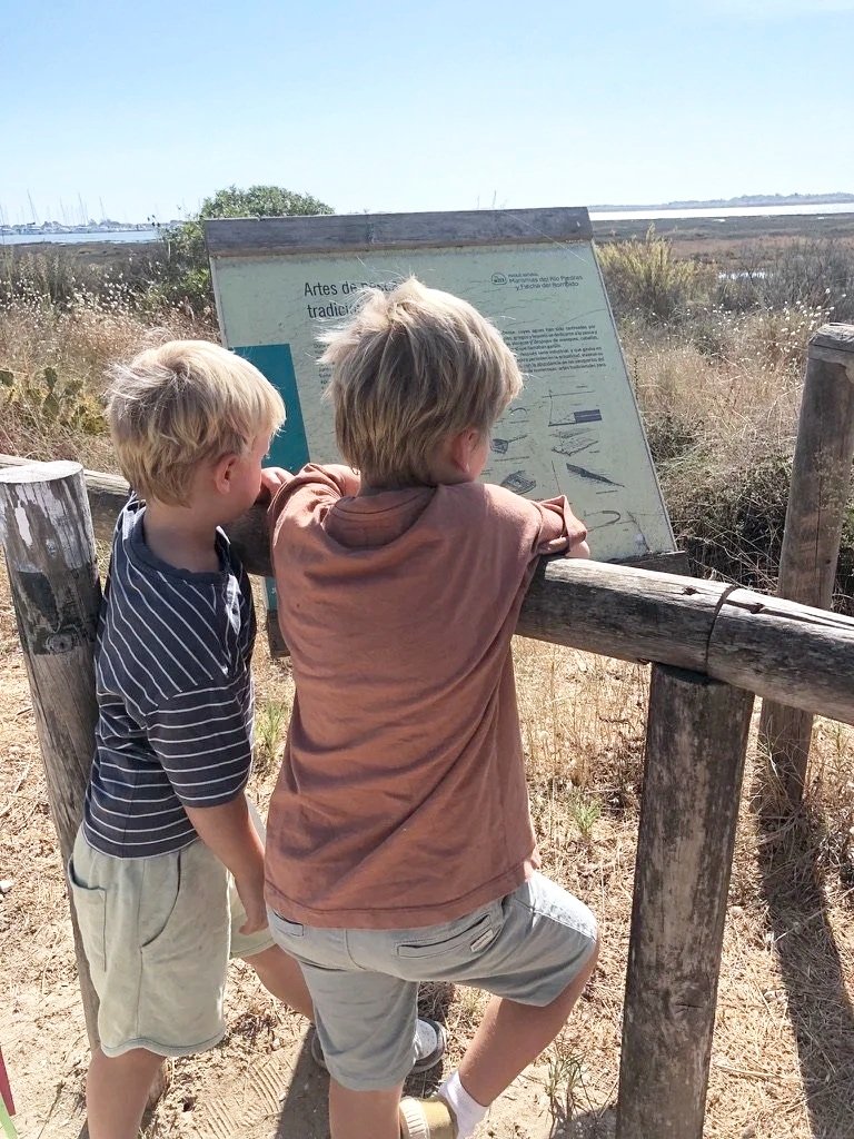 Two young boys with blond hair looking at an informational sign on a wooden deck near a marsh area.