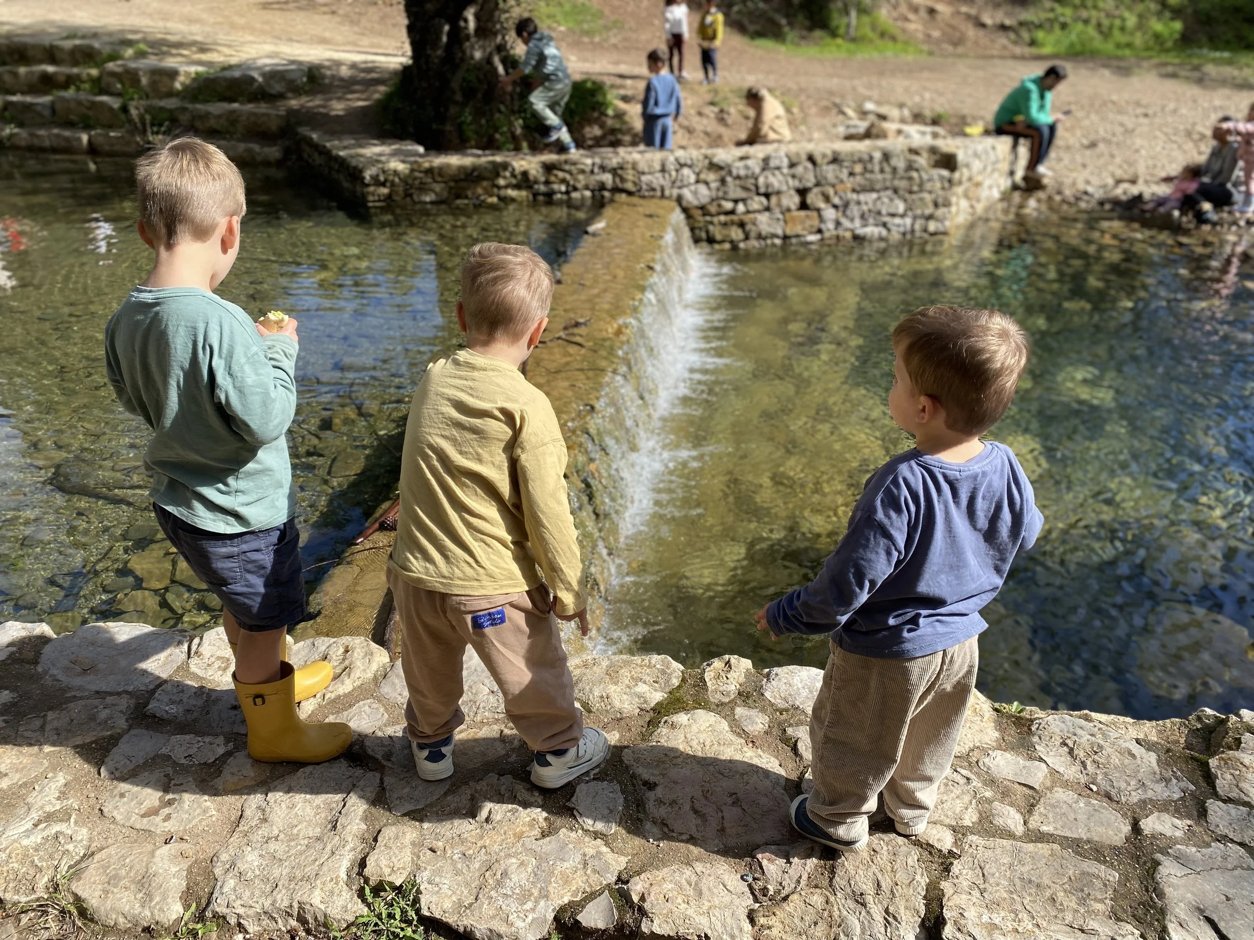Three young boys standing on a stone ledge beside a tranquil, shallow stream, observing water and surroundings on a sunny day.
