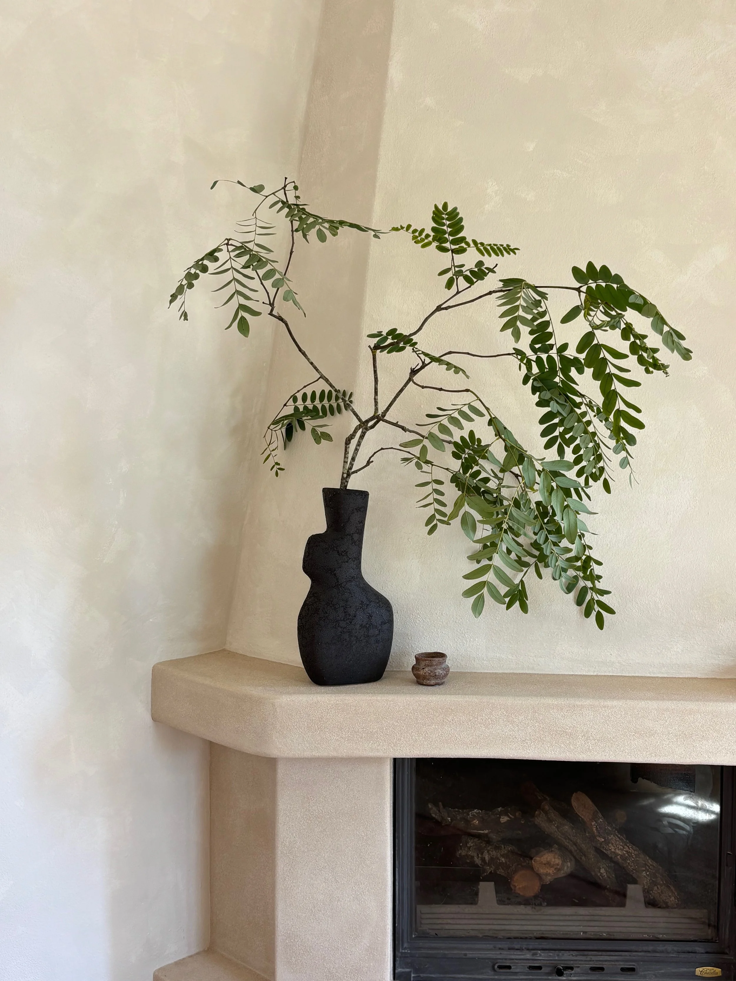 A potted plant with green leaves on a beige fireplace mantel, with a small clay pot next to it, in front of a light-colored wall and a fireplace with logs inside.