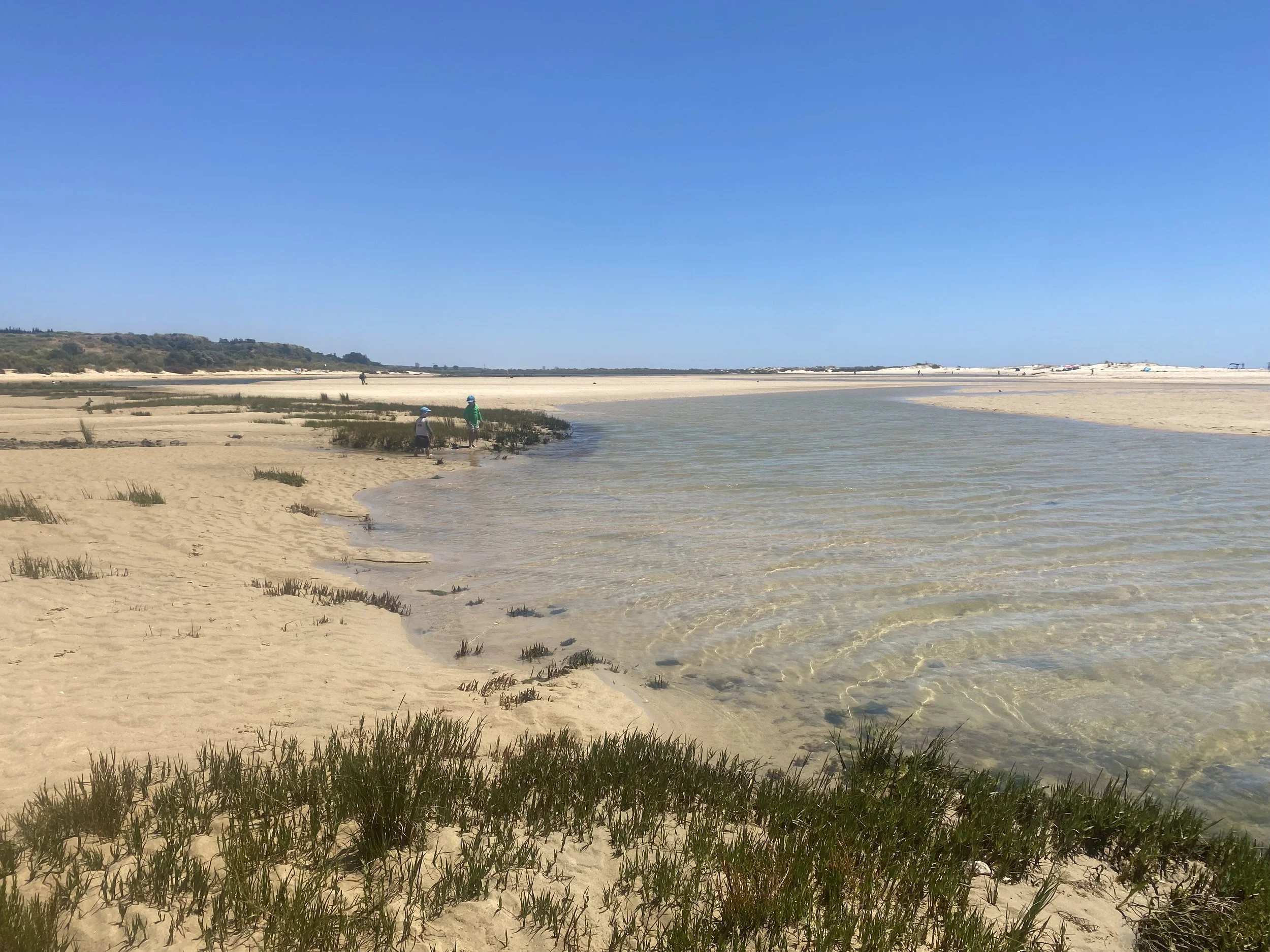 A beach scene with clear blue sky, sandy shore with some grass patches, and calm shallow water with a few people in the distance near the water's edge.