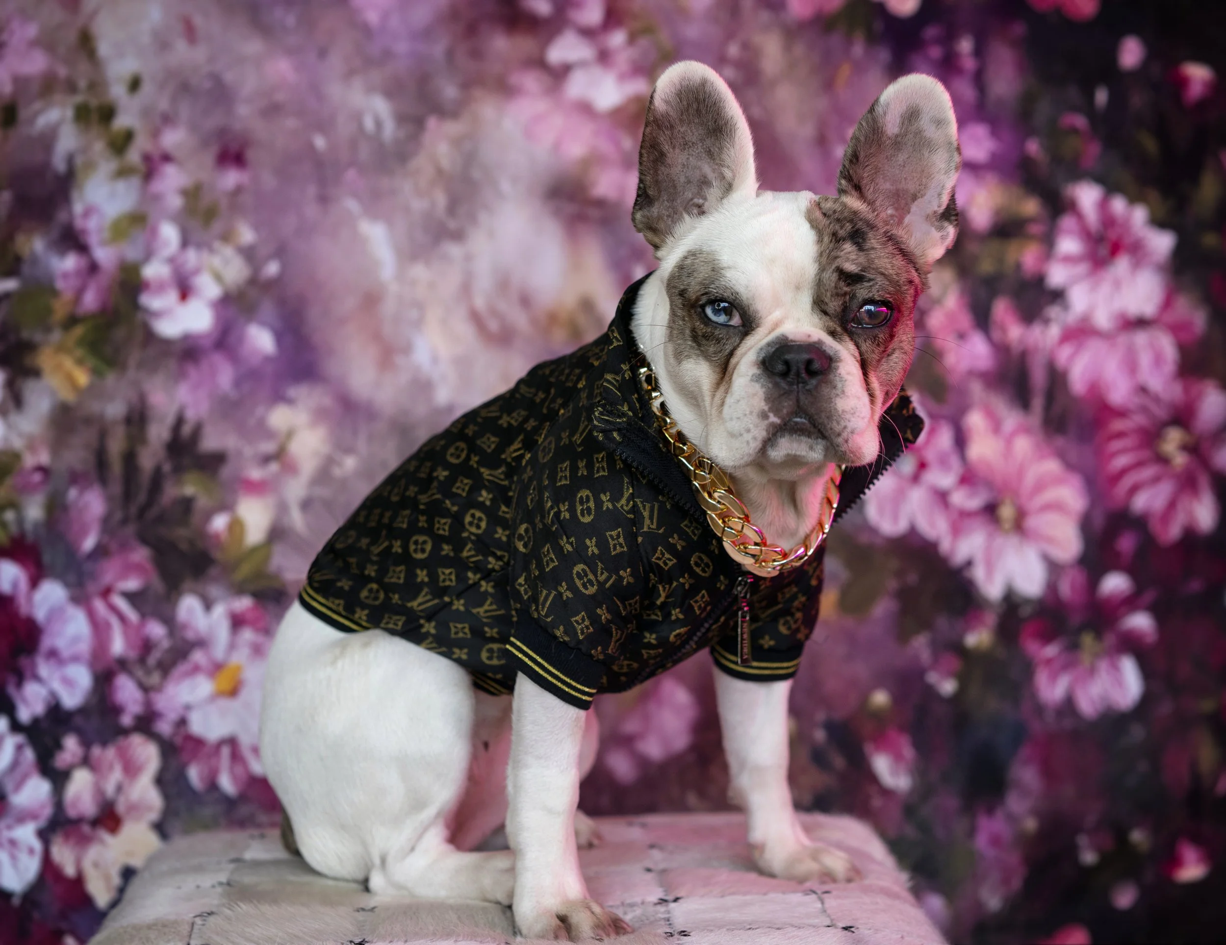 FRIDA, RECEPTIONIST + DESTROYER OF WORLDS