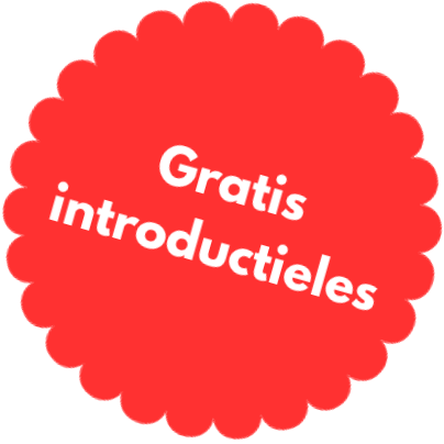 Mogelijkheid voor leerlingen om een gratis introductieles te nemen bij Rijschool Rayman: Algemene voorwaarden zijn van toepassing.