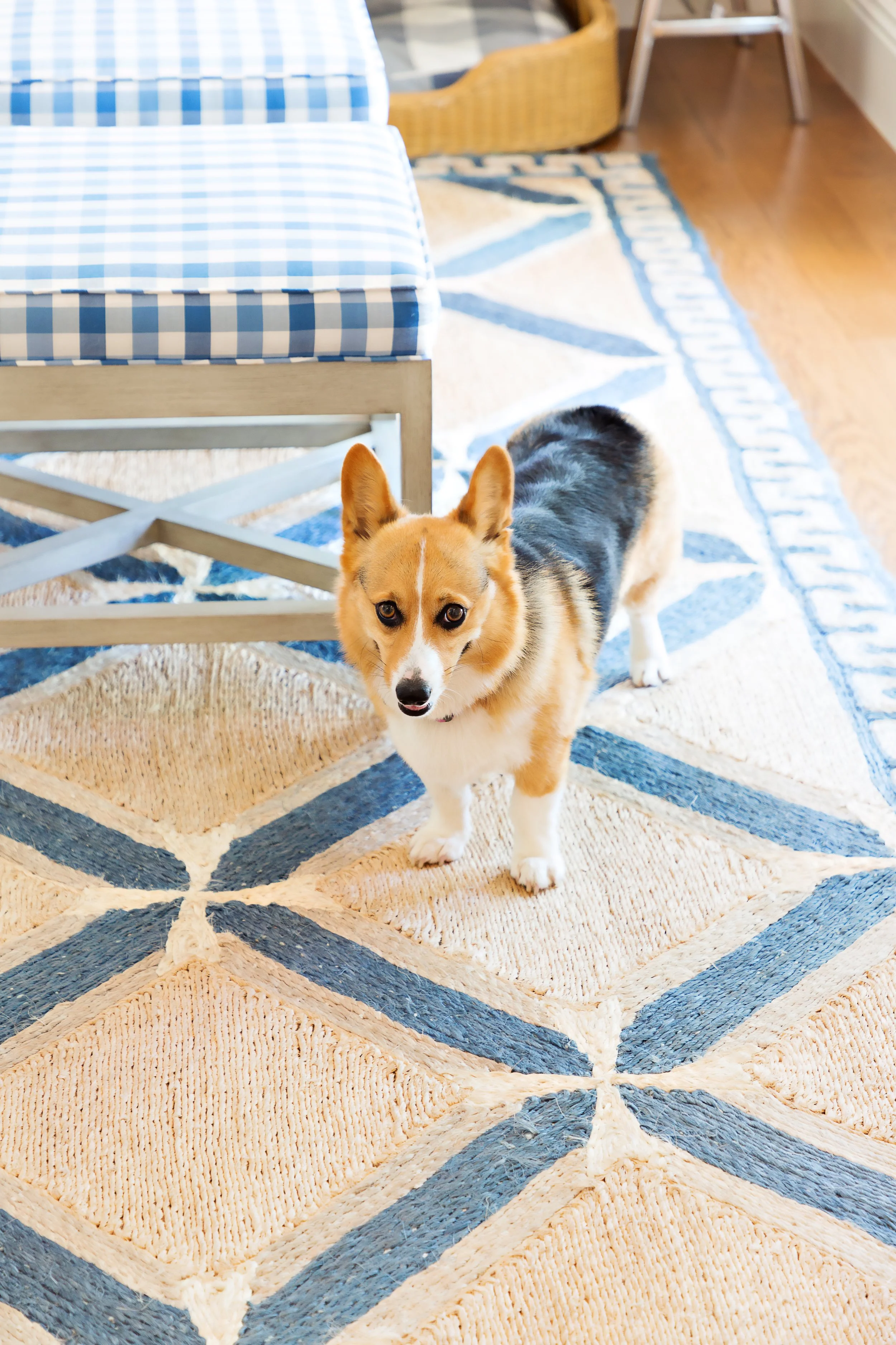 Copy of 2023-476.jpg