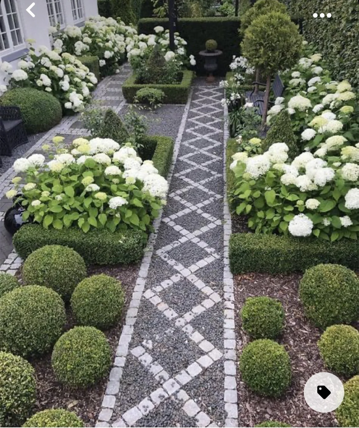 Copy of IMG_5922.jpg