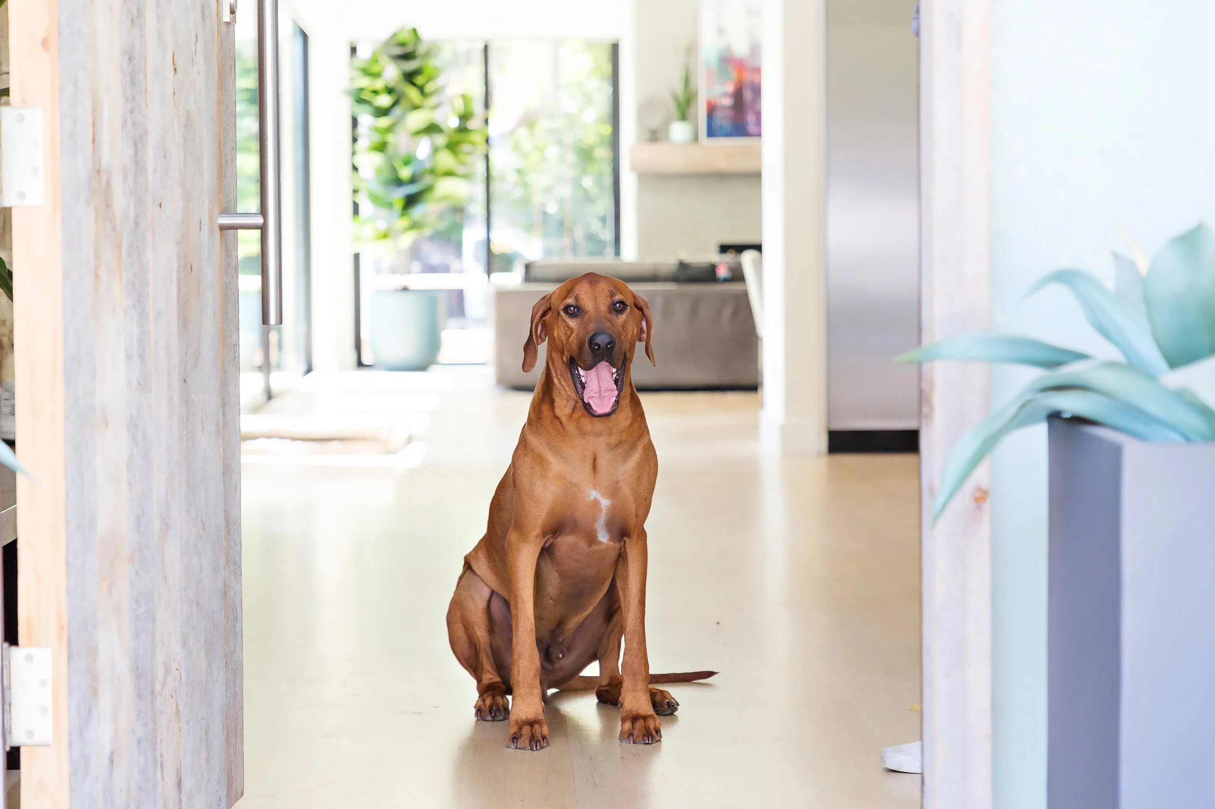 Copy of 2023-307.jpg