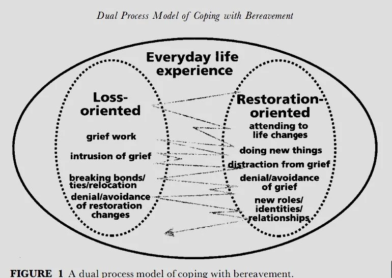 The Dual Process Model