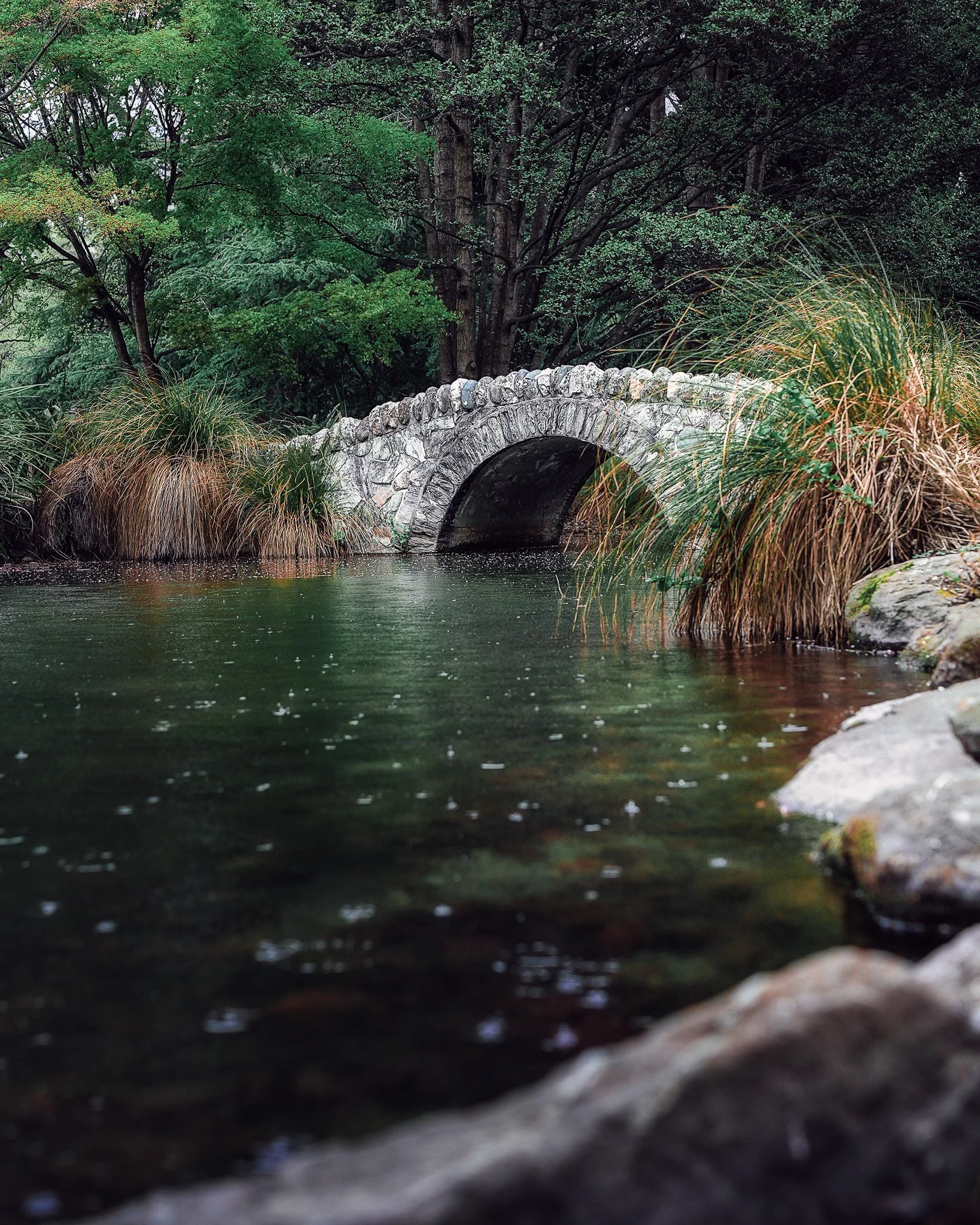 A stone bridge over a body of water, surrounded by green trees and tall grasses.