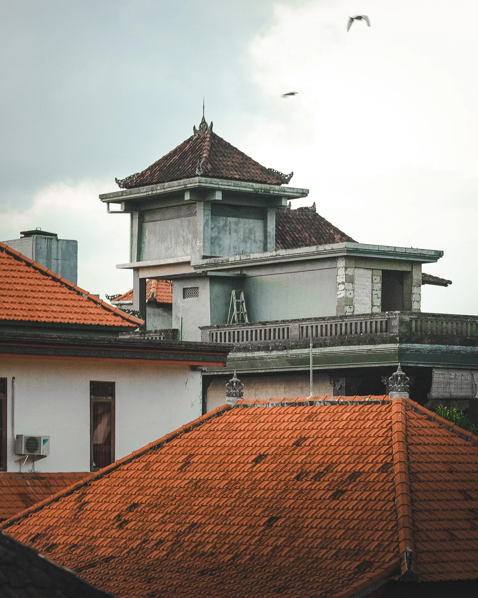 A multi-story building with traditional Asian style rooftops, featuring curved tiles and ornate decorations. A seagull is flying in the sky.