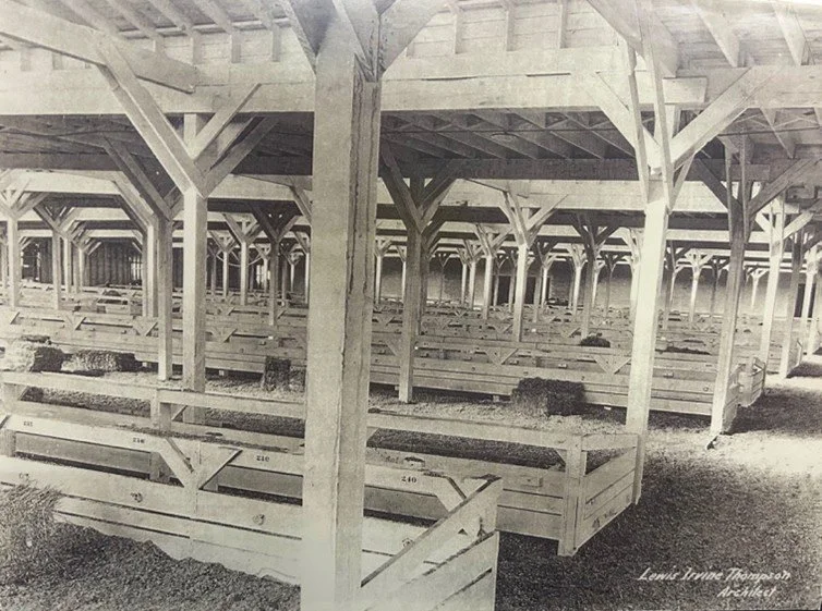 Black and white archival image: Empty livestock exhibition building.