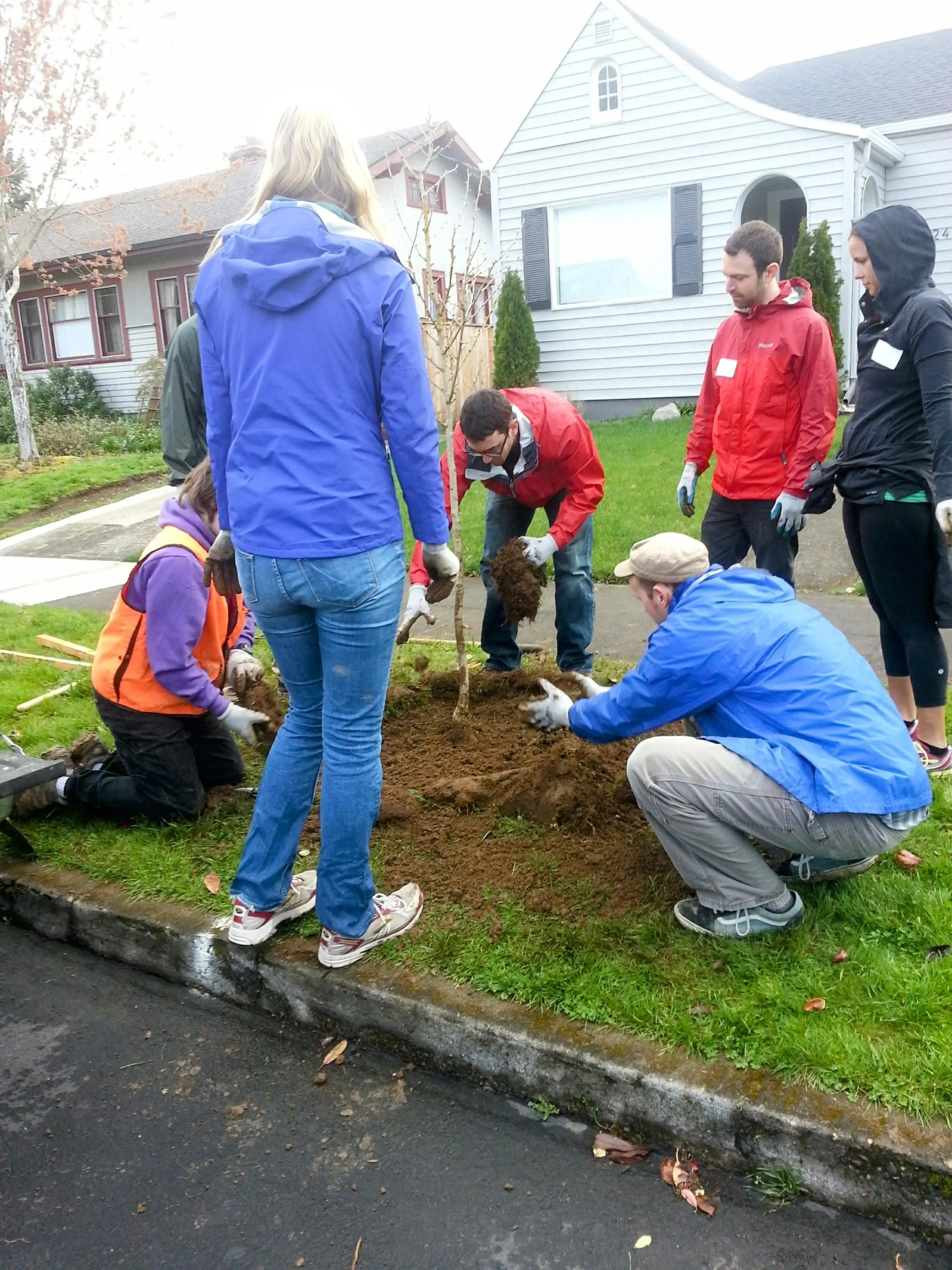 A small group of volunteers plant a tree in front of a house.