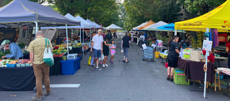 About a dozen farmers market booths line a street while people of all ages shop.