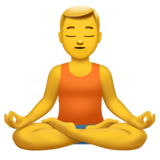 Emoji of a person meditating in a seated cross-legged position with eyes closed and a peaceful expression.