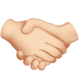 Two hands shaking in a handshake.