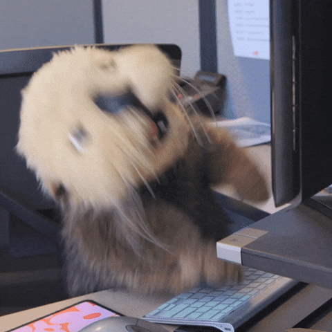 A raccoon sitting at a computer, appearing to reach for the keyboard and reacting with a surprised or distressed expression.