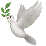 White dove holding an olive branch in its beak