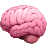 Illustration of a human brain in pink color.