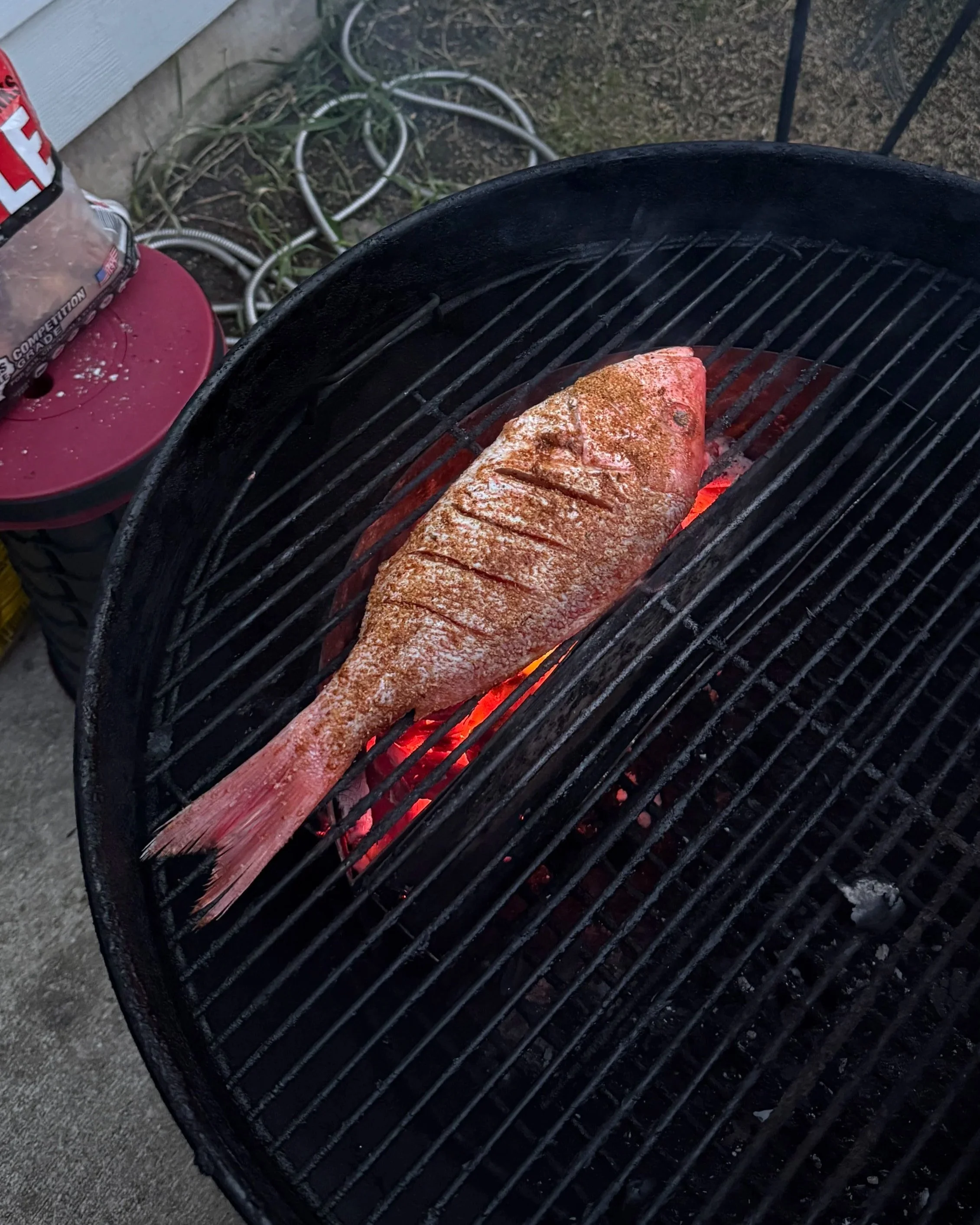 Whole red snapper cooking over charcoal grill