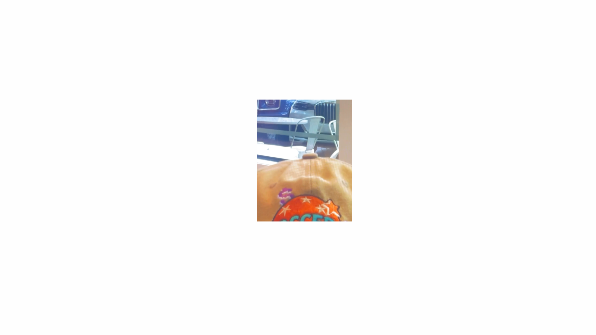3063663.png