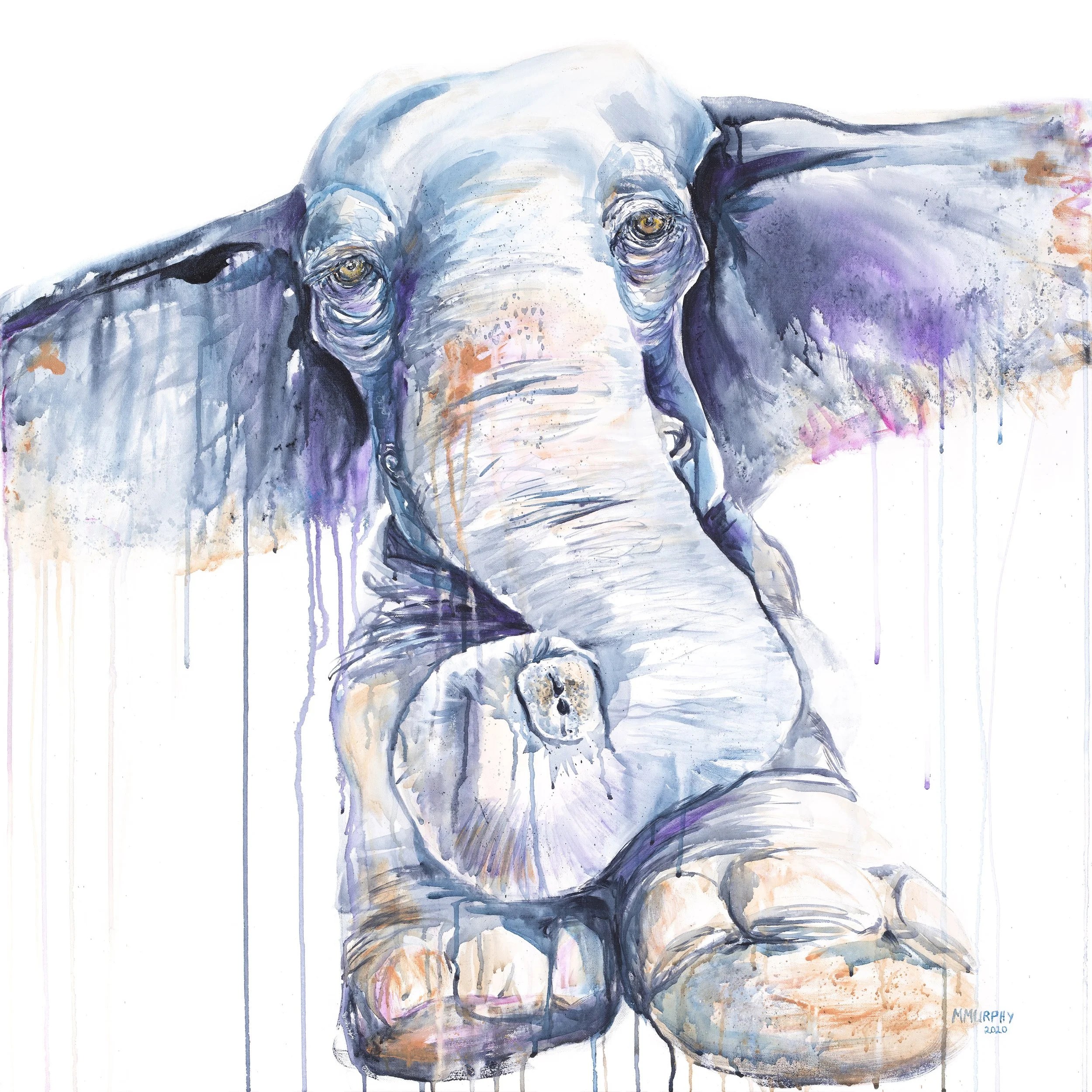 Elephant_Clean_hires.jpg