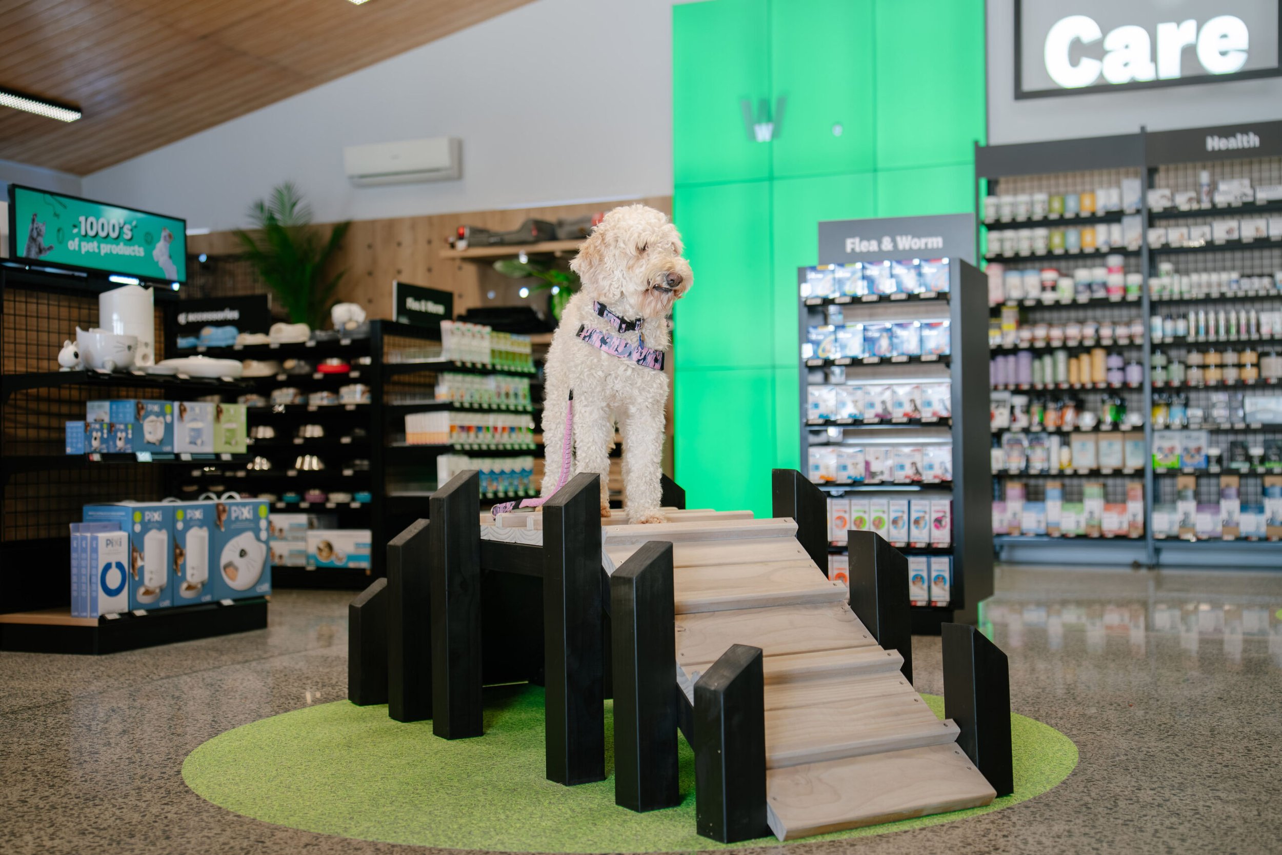iLine-Construction-Pet-Direct-Interior-Fitout-08-scaled.jpg