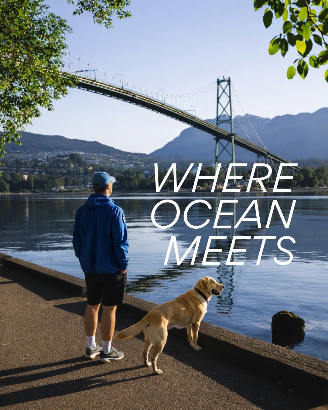Different Vancouver POV moments in one highlight reel - and it would look like this.

Lost Lagoon, Kitsalano Beach, Granville Island and the iconic Lions Gate Bridge, all part of one beautiful harbour

#VancouverBySea
#YachtLife #BoatLife
#Travel #Be