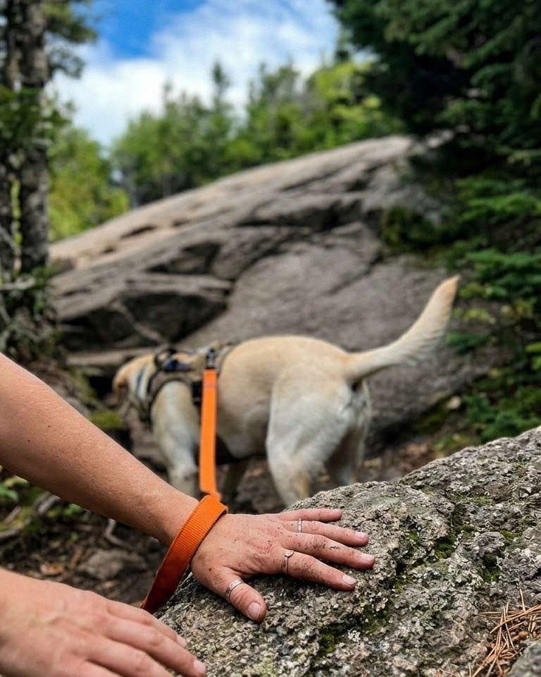 Out here, Vancouver feels calmer. A little quieter, and more magical.

Dog walking along the North Shore Mountain Trail

#VancouverBySea
#YachtLife #SailingLife
#Travel #BeautifulDestinations