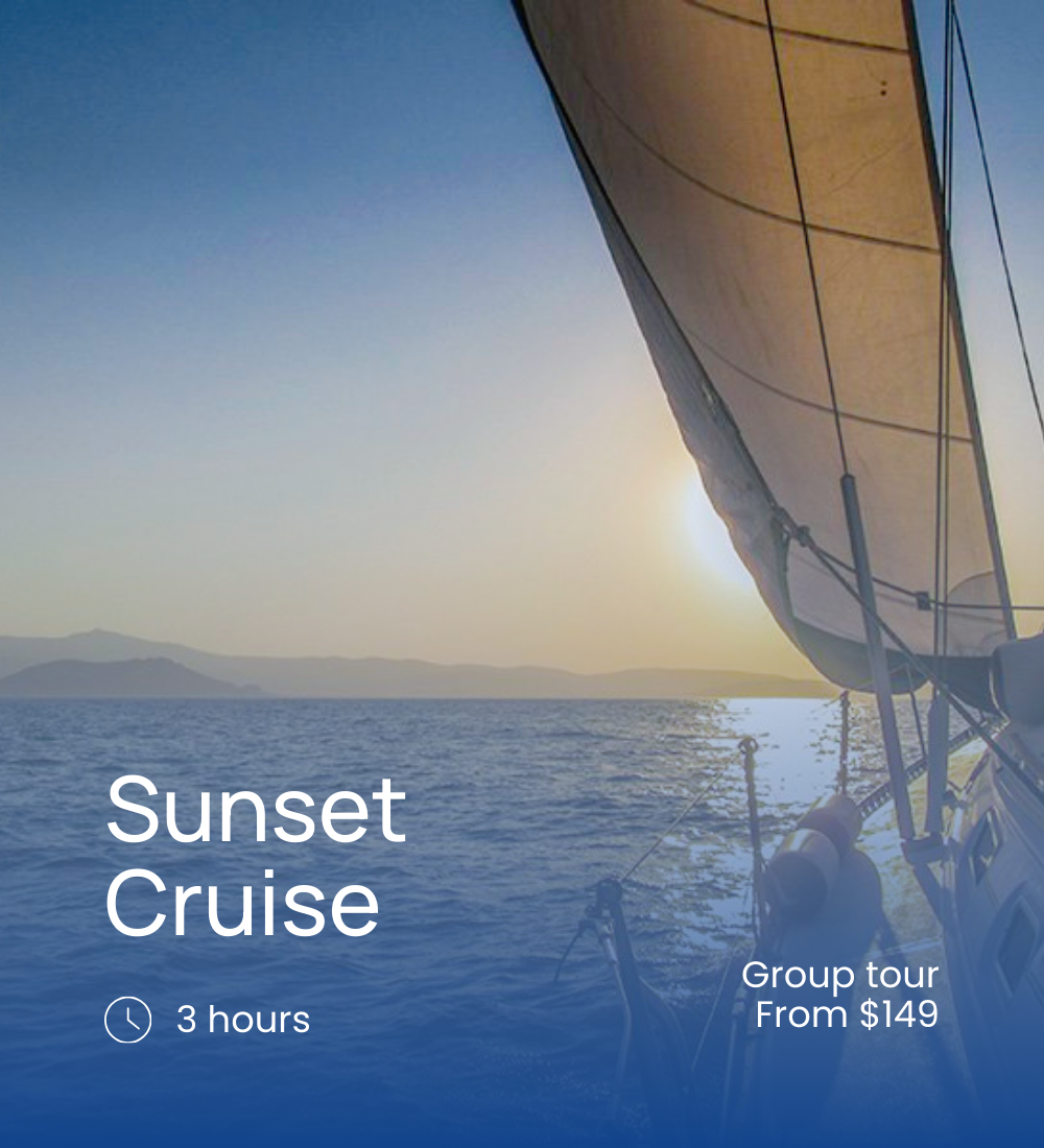 Experience cards (1000 x 1500 px) (5).png