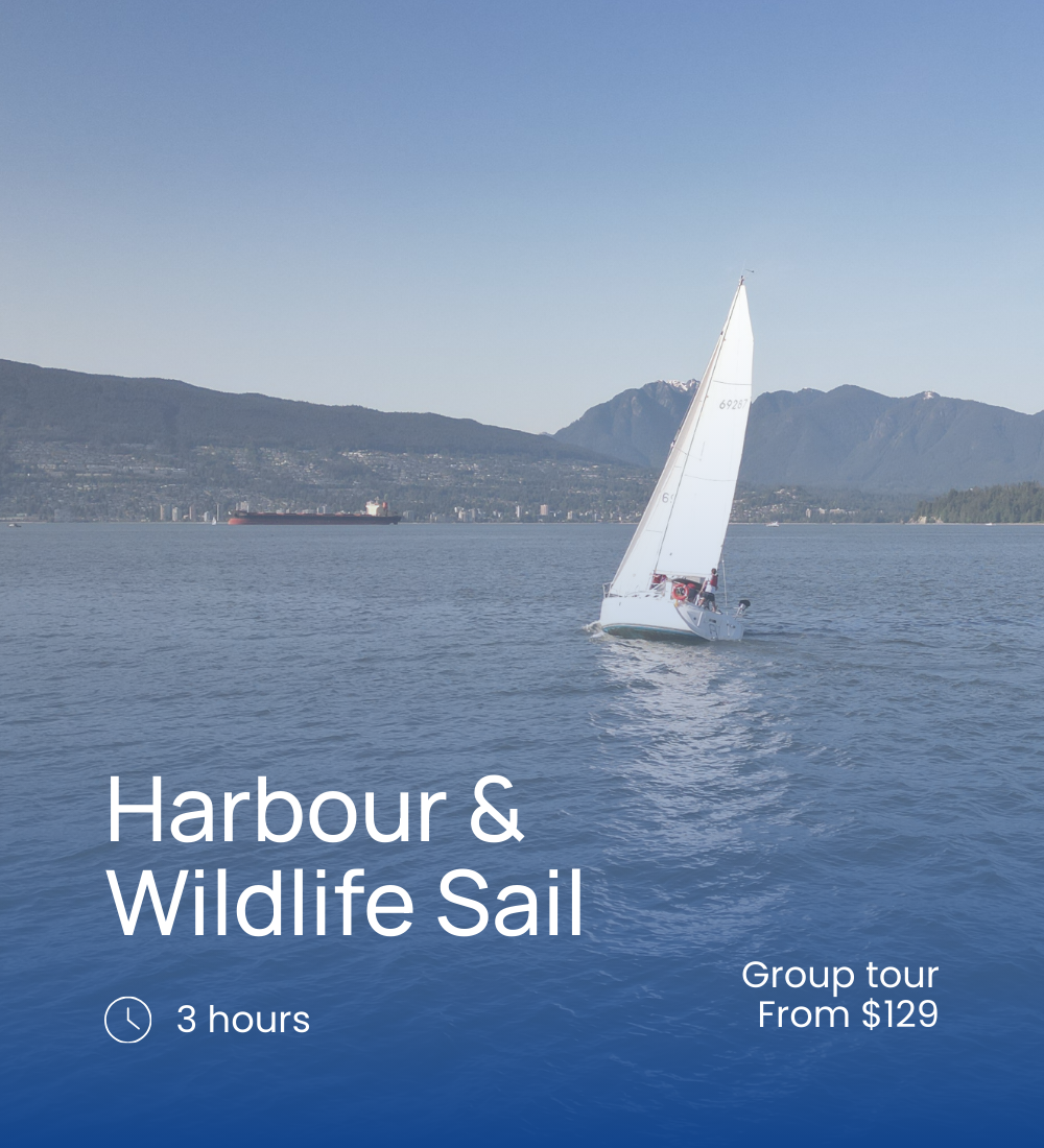 Experience cards (1000 x 1500 px) (4).png